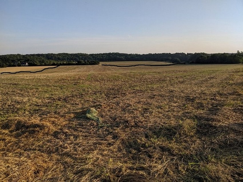 PAYSAGE.jpg