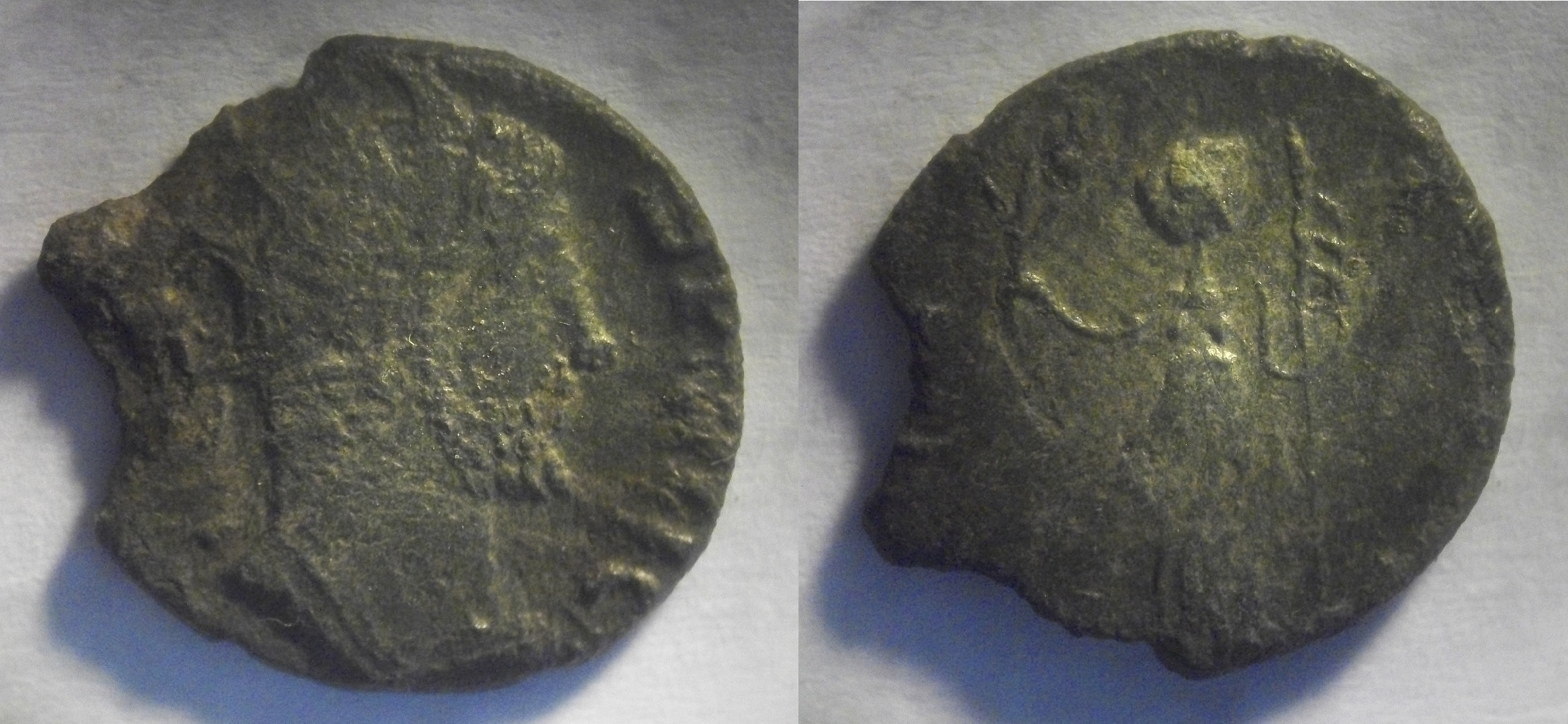 Romaine à identifier.jpg