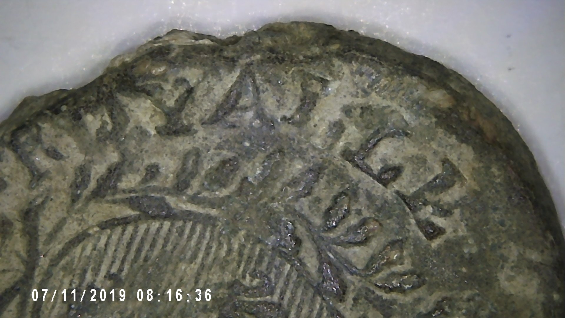 PICT0001.jpg
