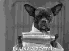 dog-cocktail.gif