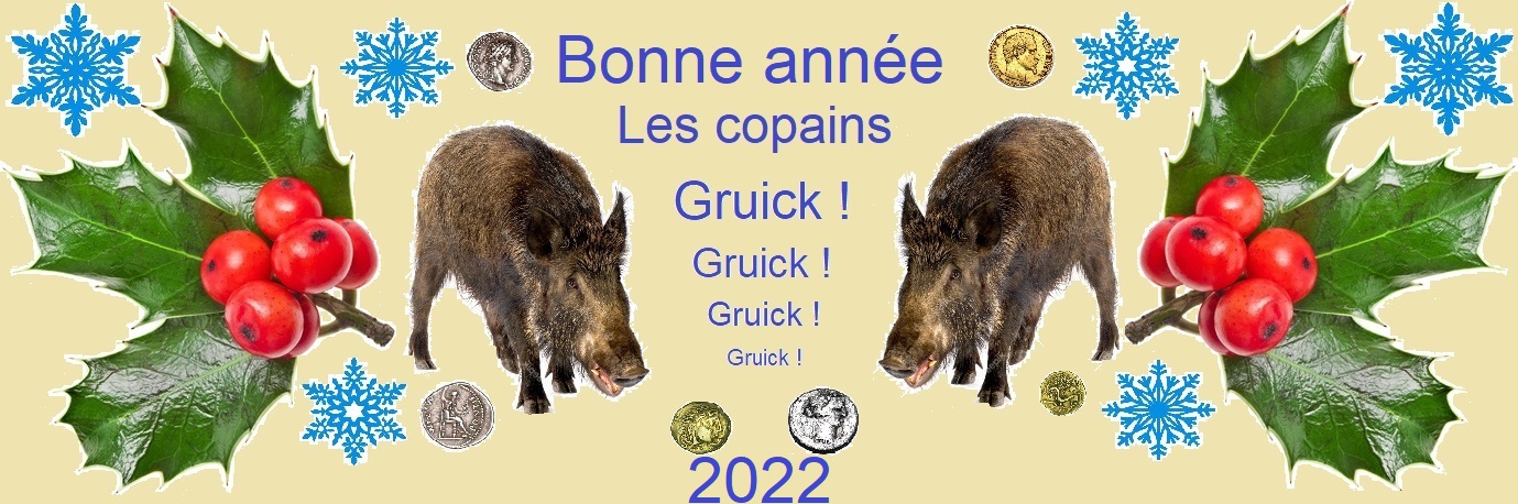 Bonne année les potos.jpg