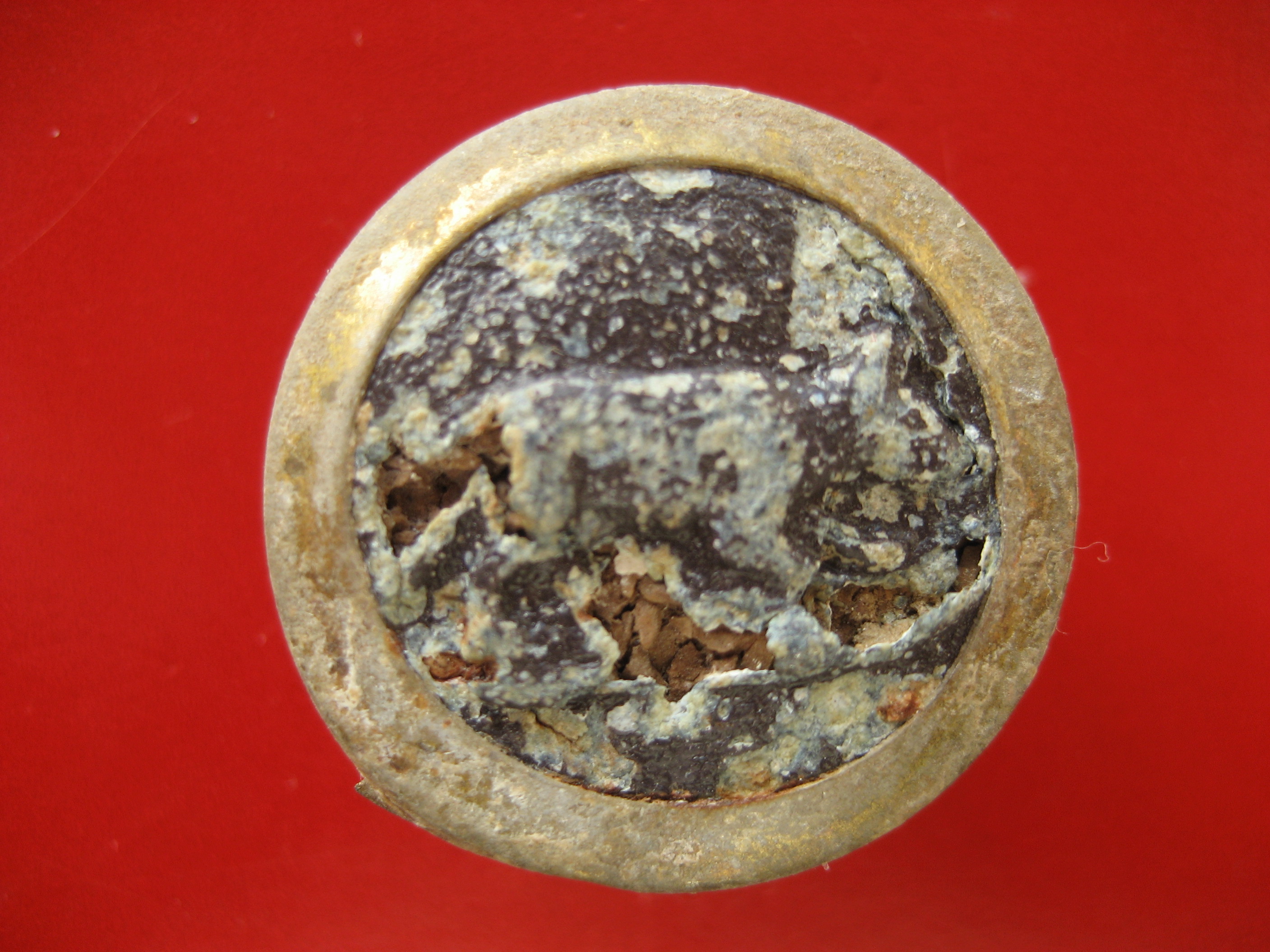 (169)Bouton chien avec cercle doré 20e.JPG