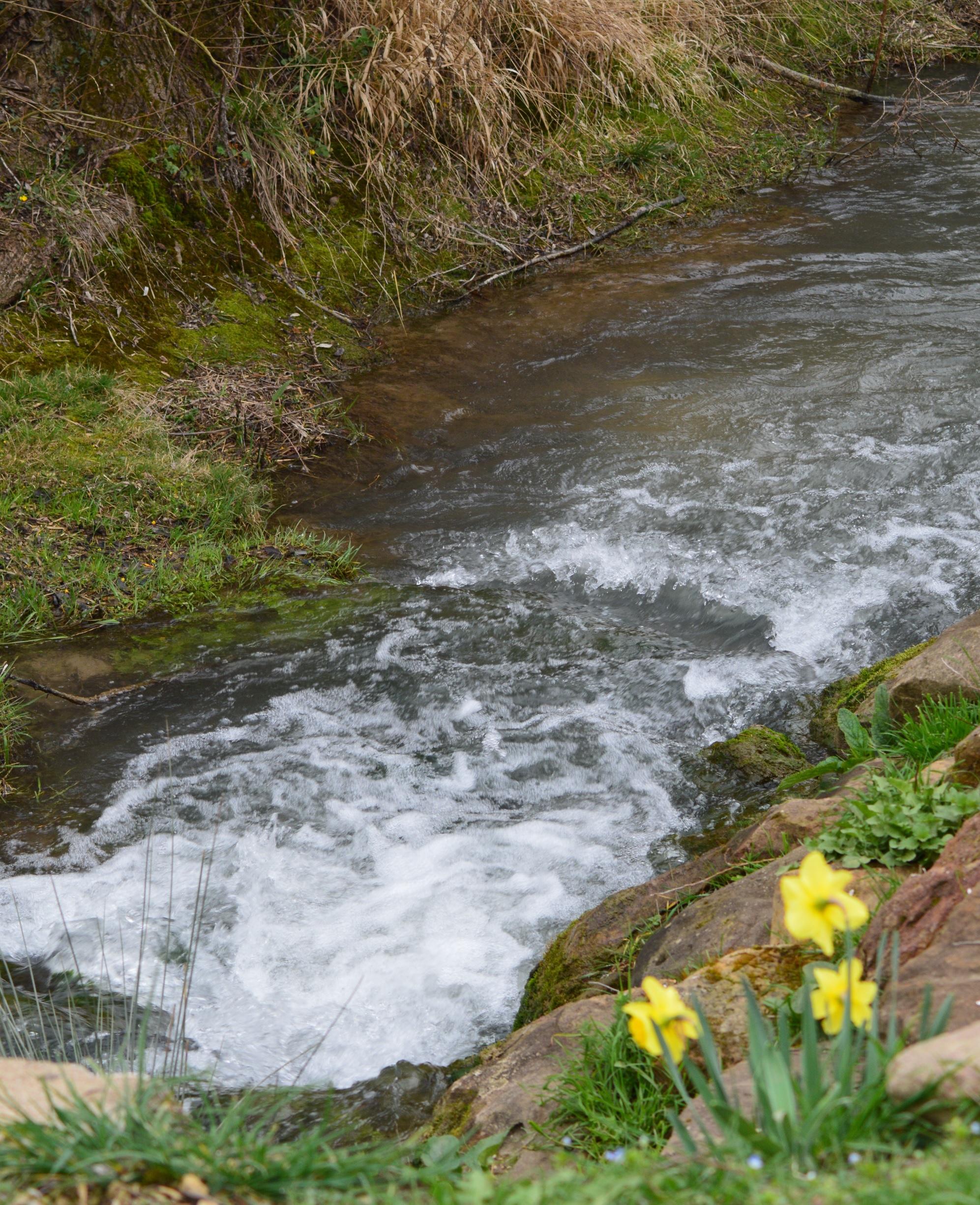 Les eaux tumultueuses du Saint Martin 1.jpg