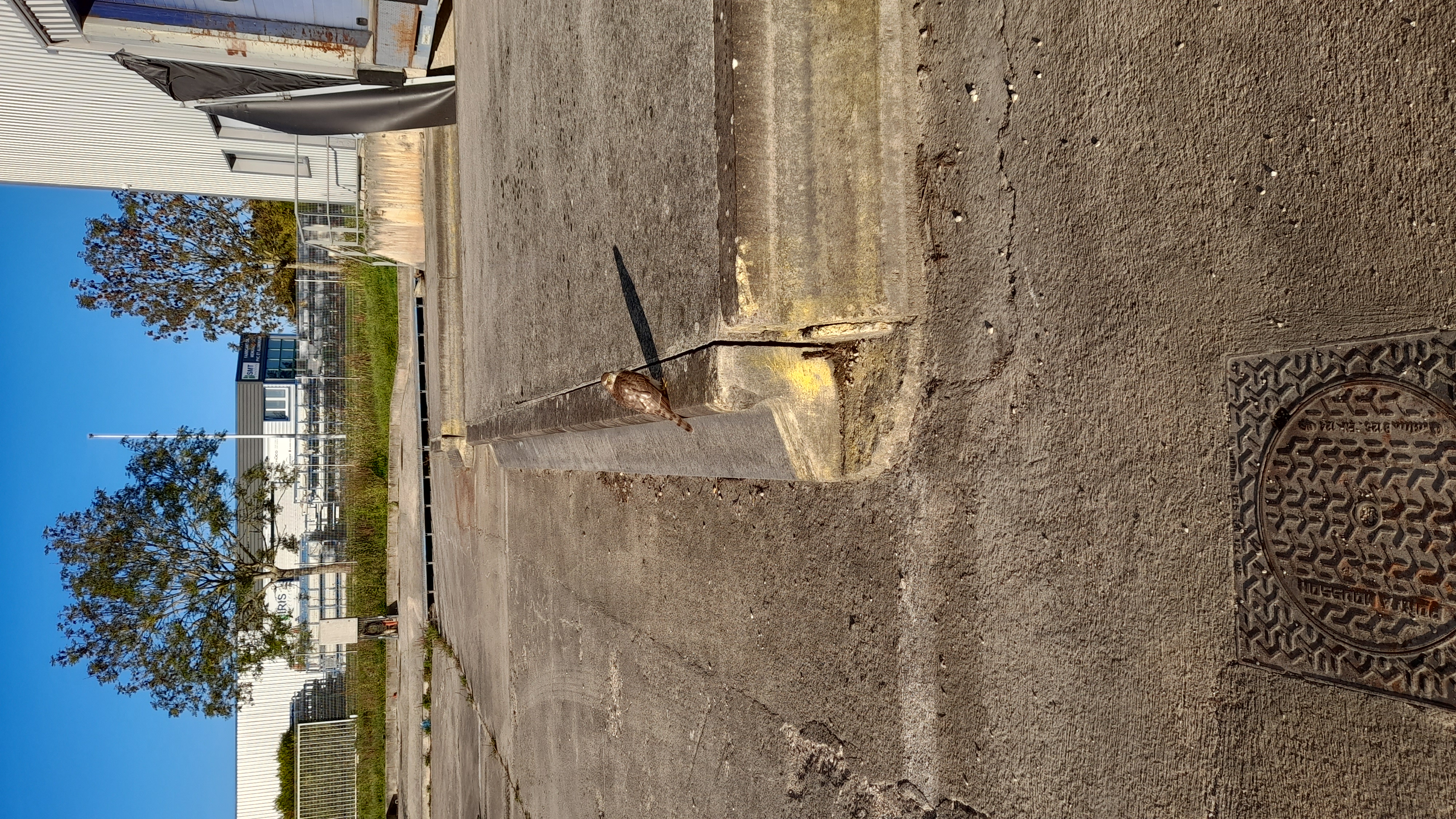 20221005_091119.jpg