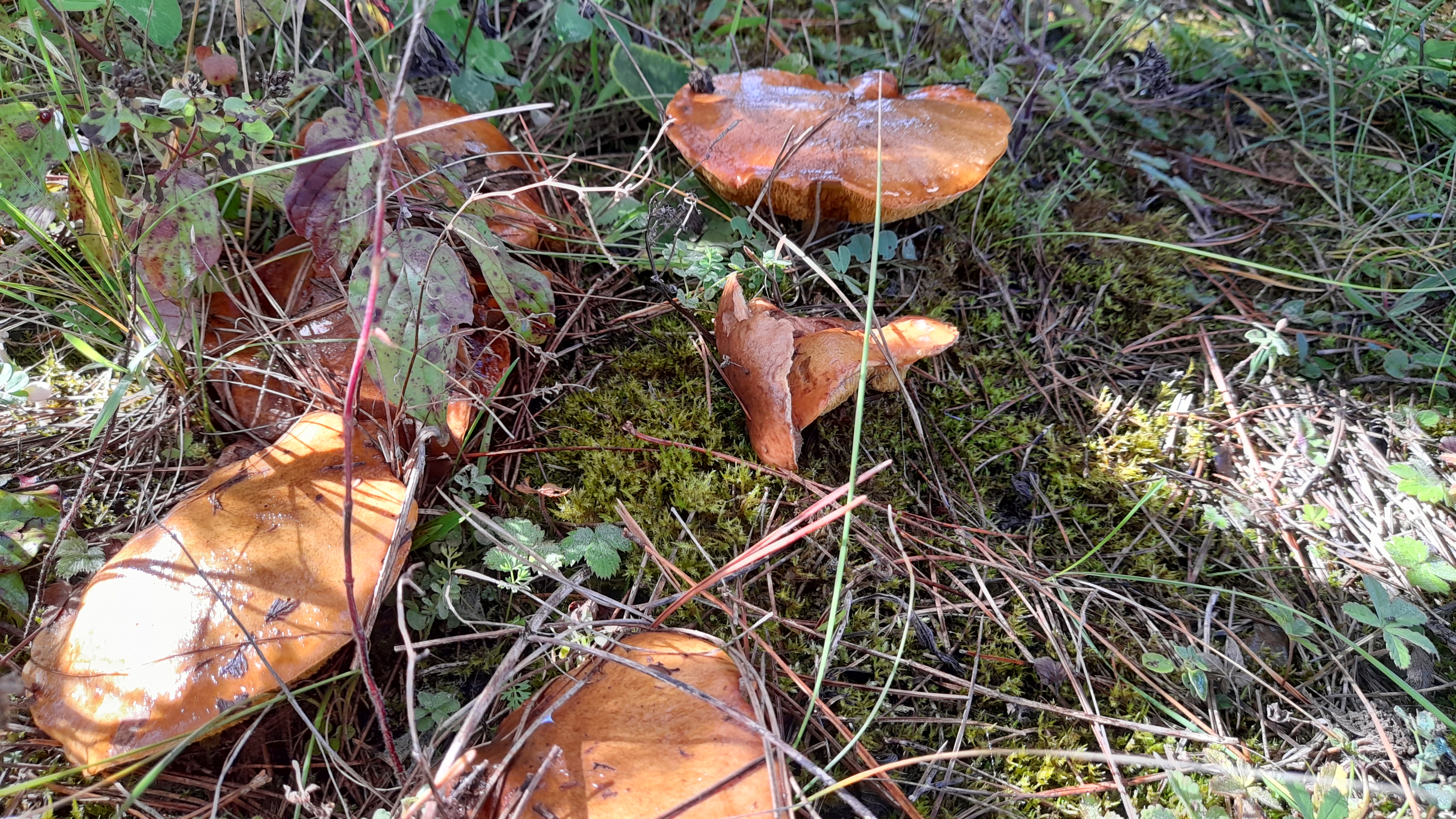 20221005_123249.jpg