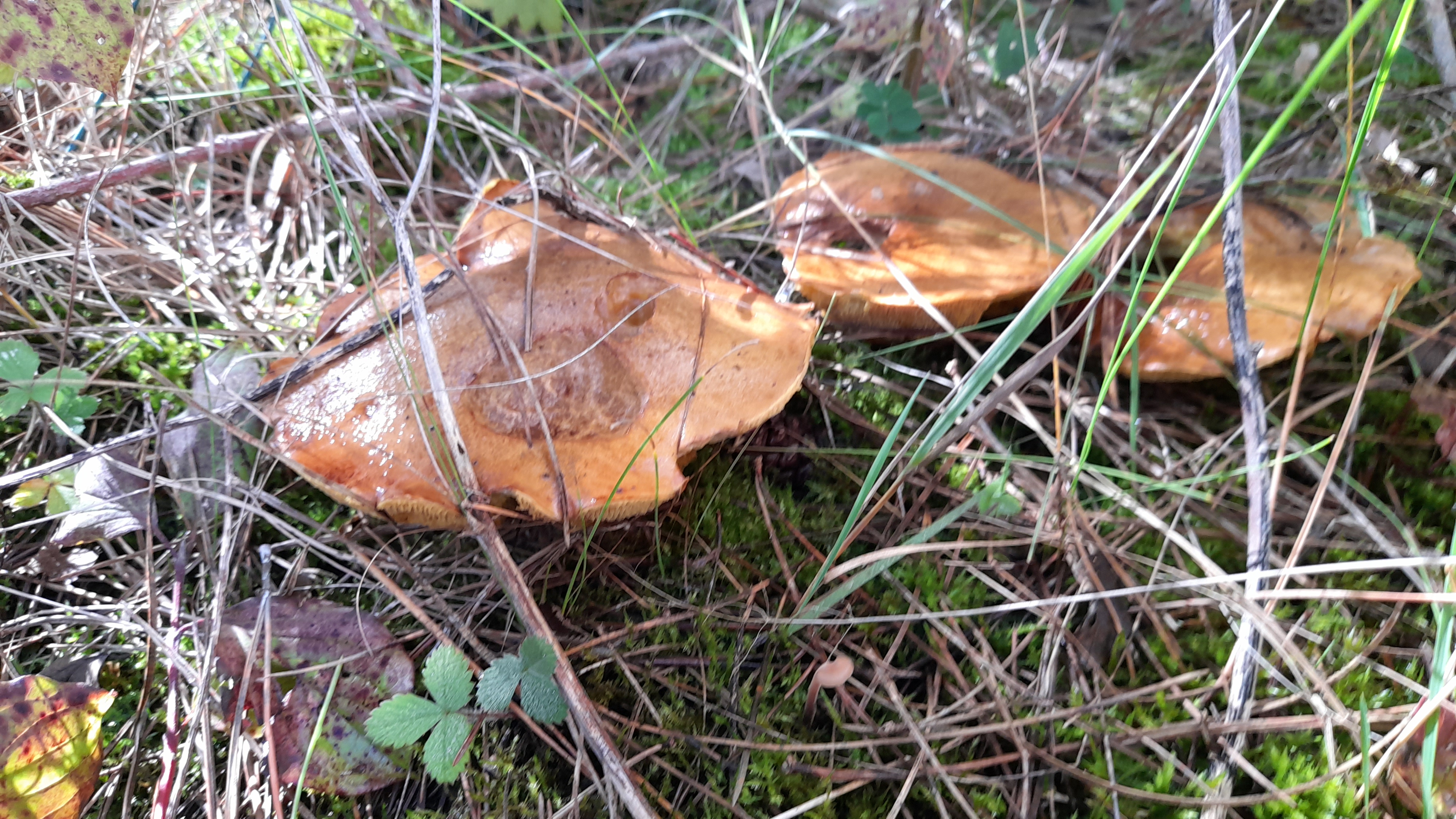 20221005_123255.jpg