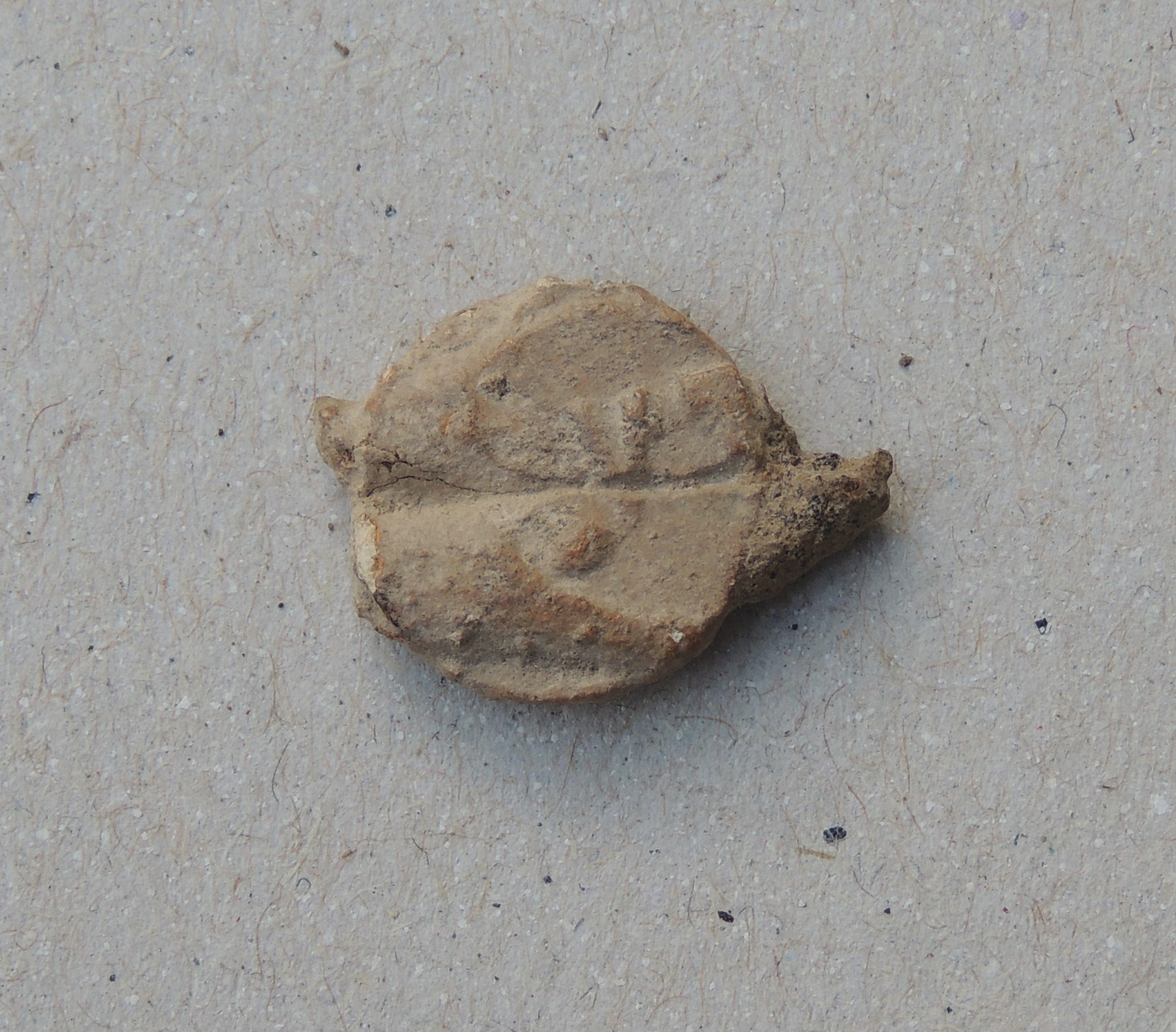 DSCN3462.JPG