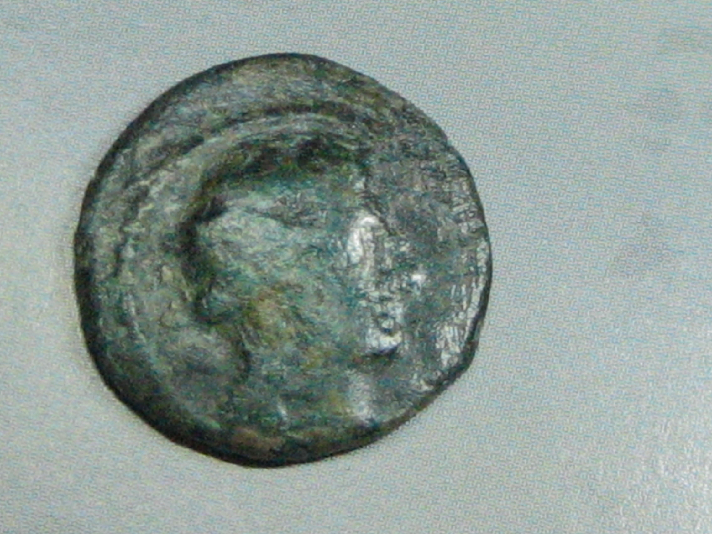 GAULOISE taureau 1.jpg