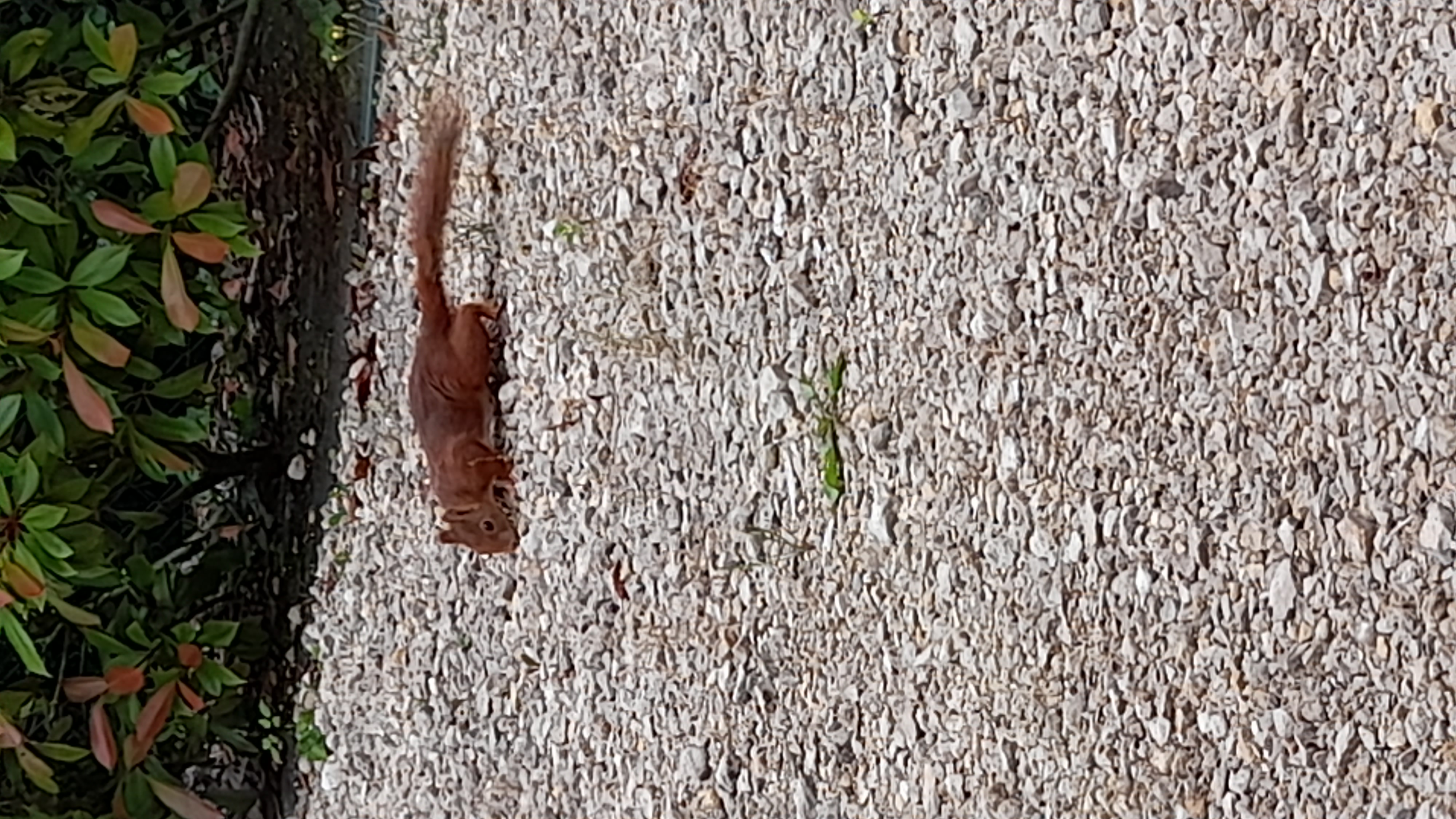 20230701_104709.jpg