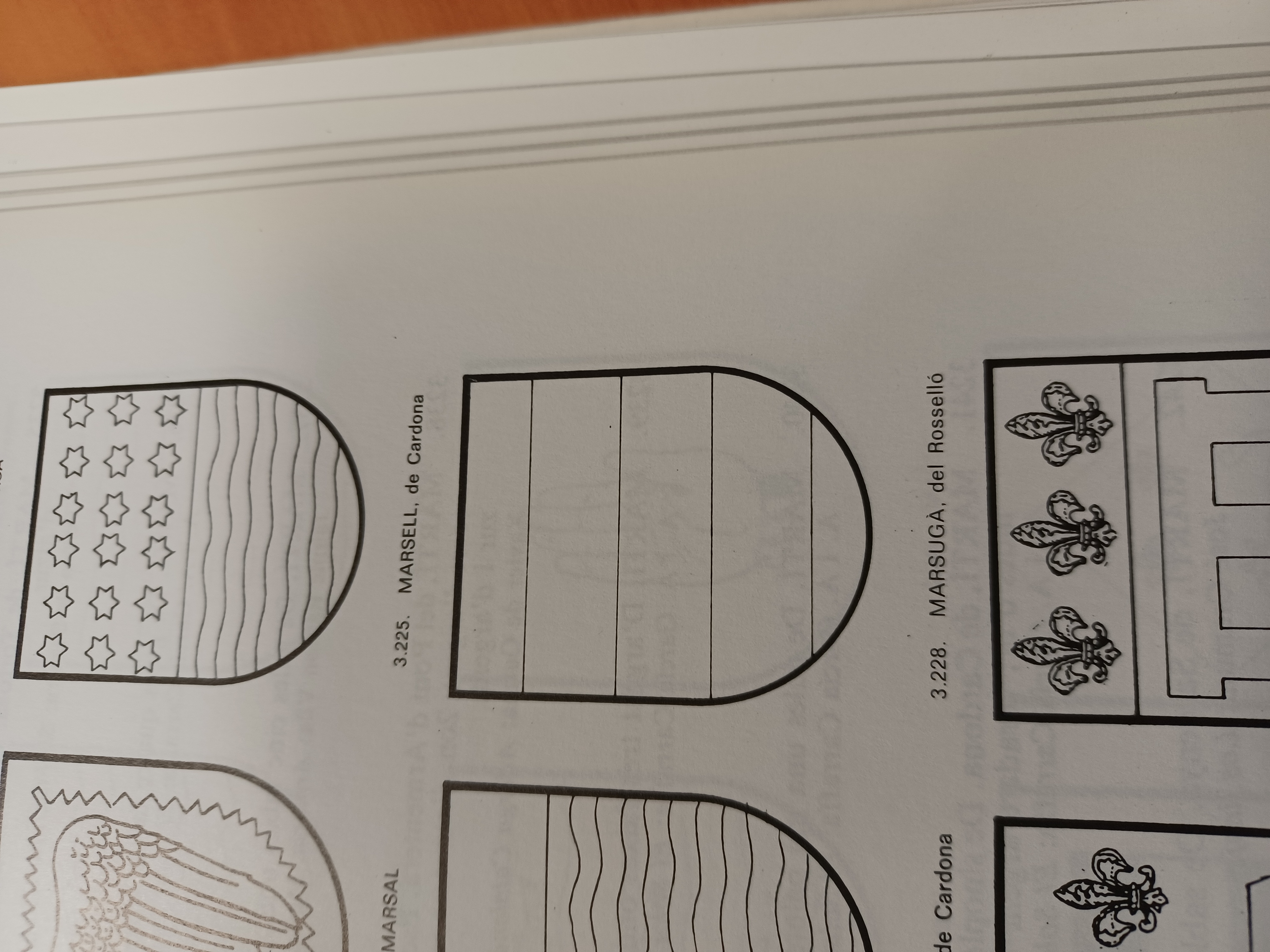 MARSUGA del rossello.jpg