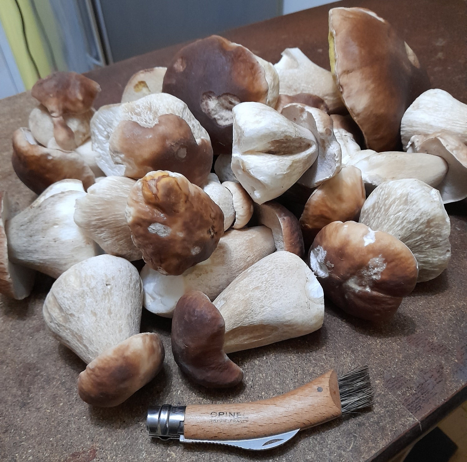 2 kg net de cèpe 06 11 2023.jpg