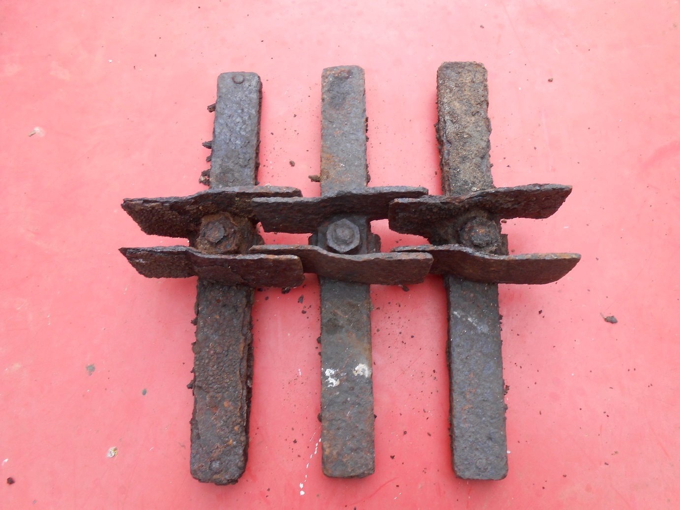 DSCN8110.JPG