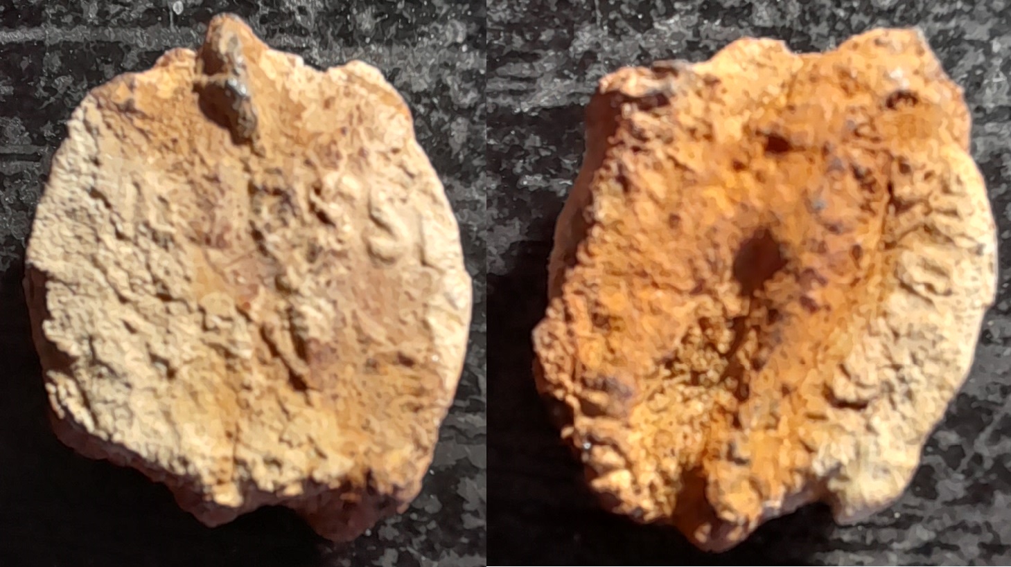 Plomb de scellé.jpg