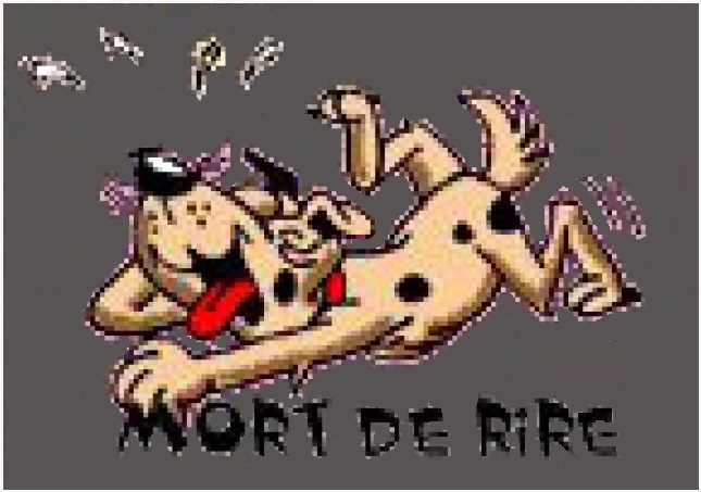 Mouarf mort de rire.JPG