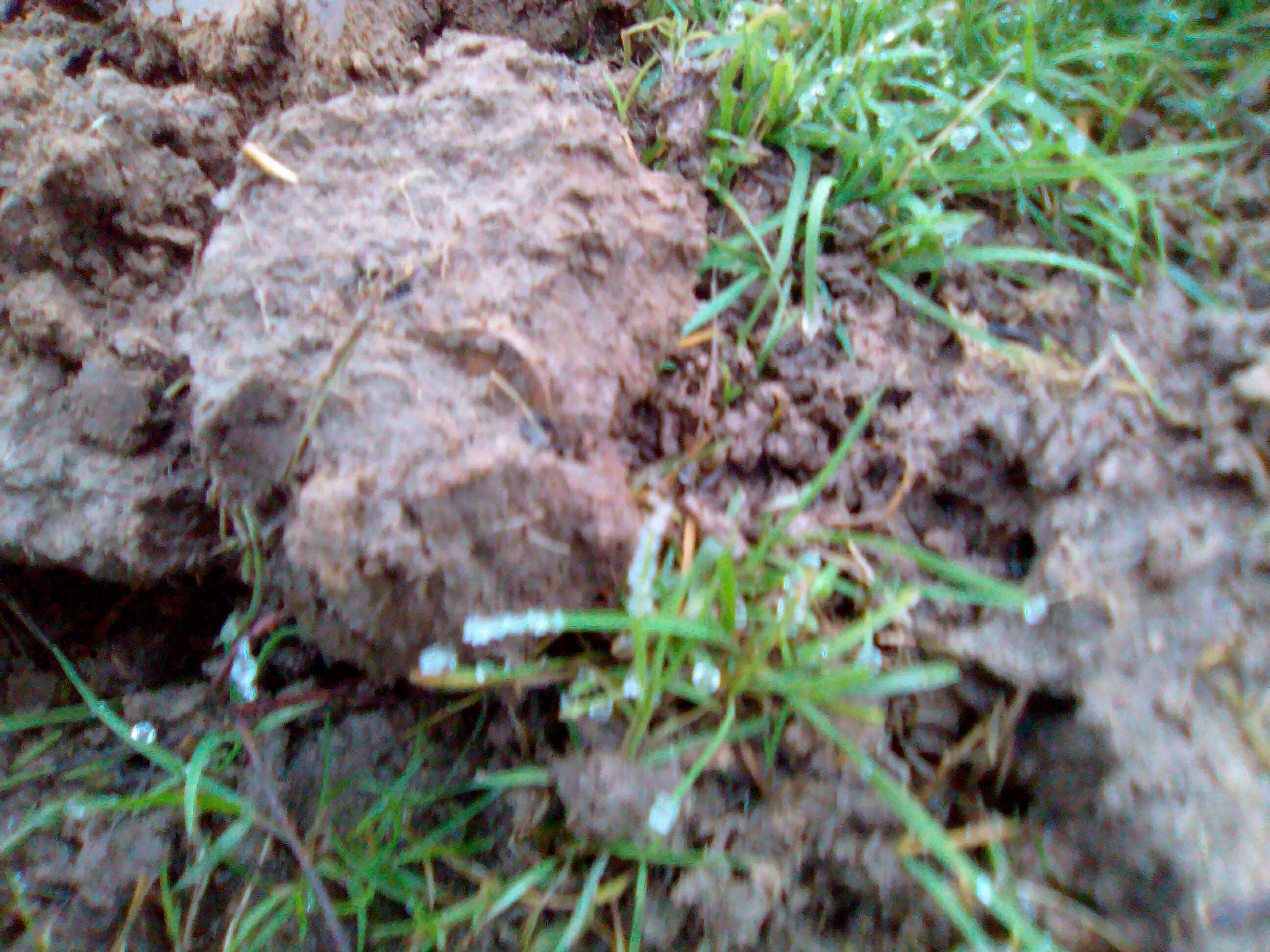 PHOTO 2.jpg