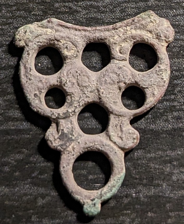 PXL_20240318_204433090~2.jpg