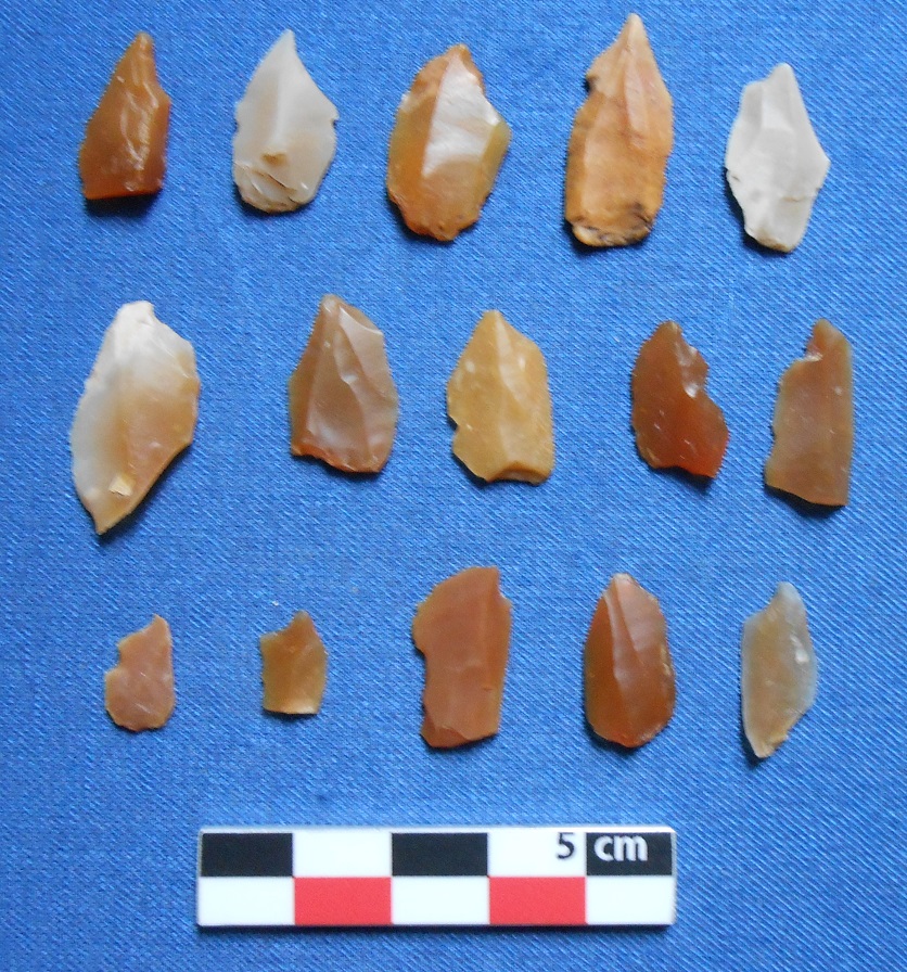 DSCN8488.JPG