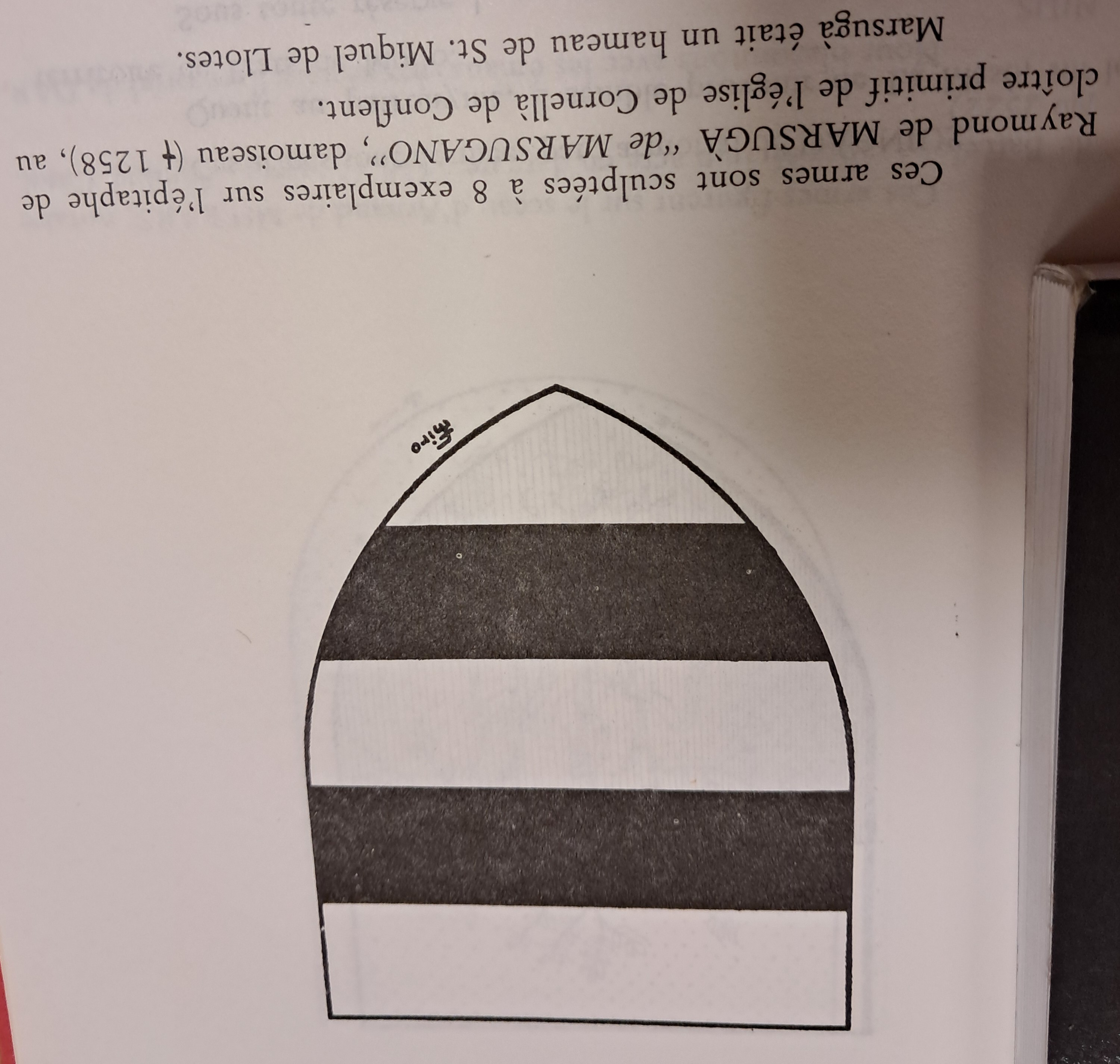 20240724_155026.jpg