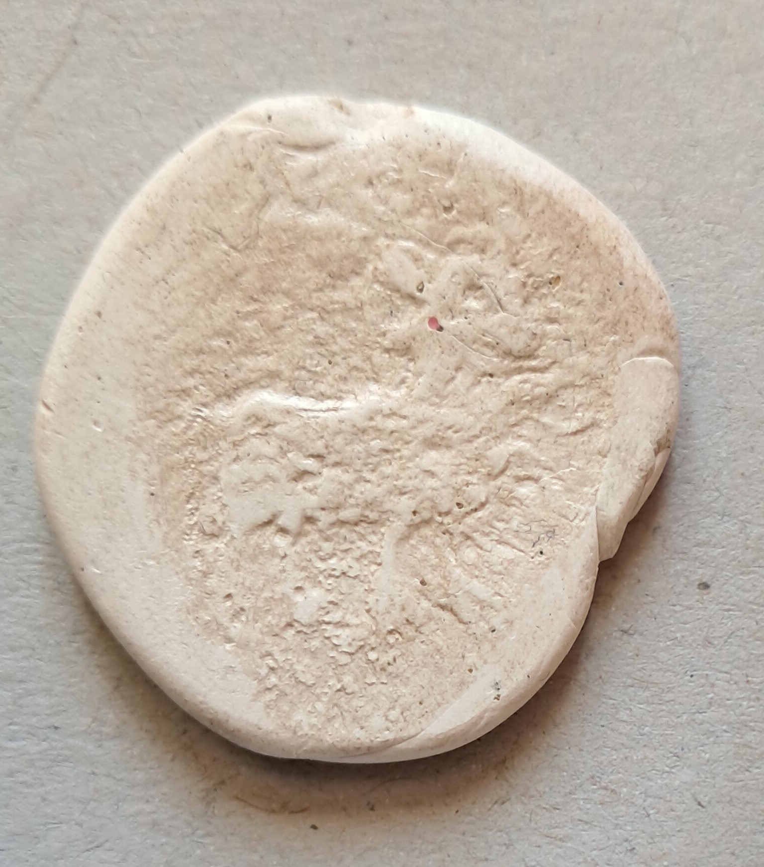 Empreinte vervelle.jpg