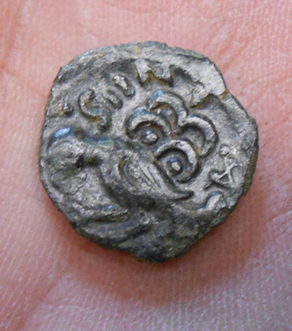 DSCN9702.JPG