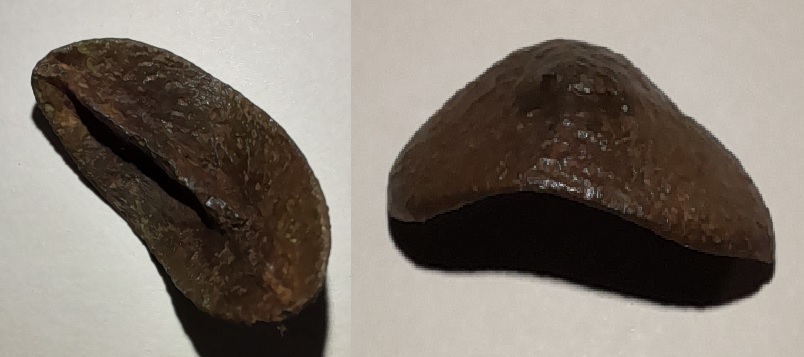 15 Objet à identifier.jpg