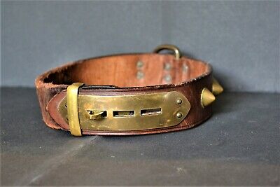 ancien-collier-pour-chien-en-cuir-et-laiton.jpg