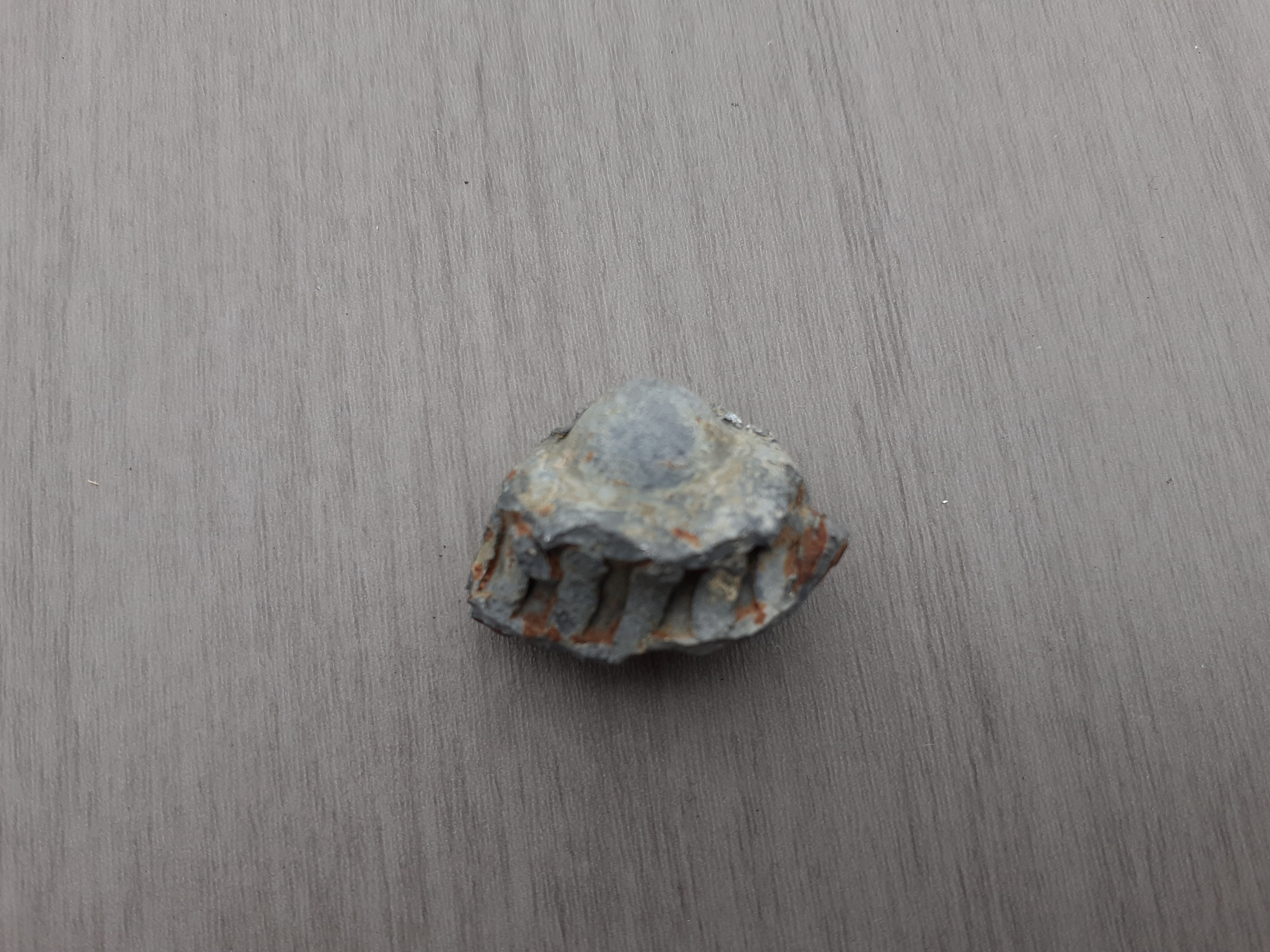 20191227_144257.jpg