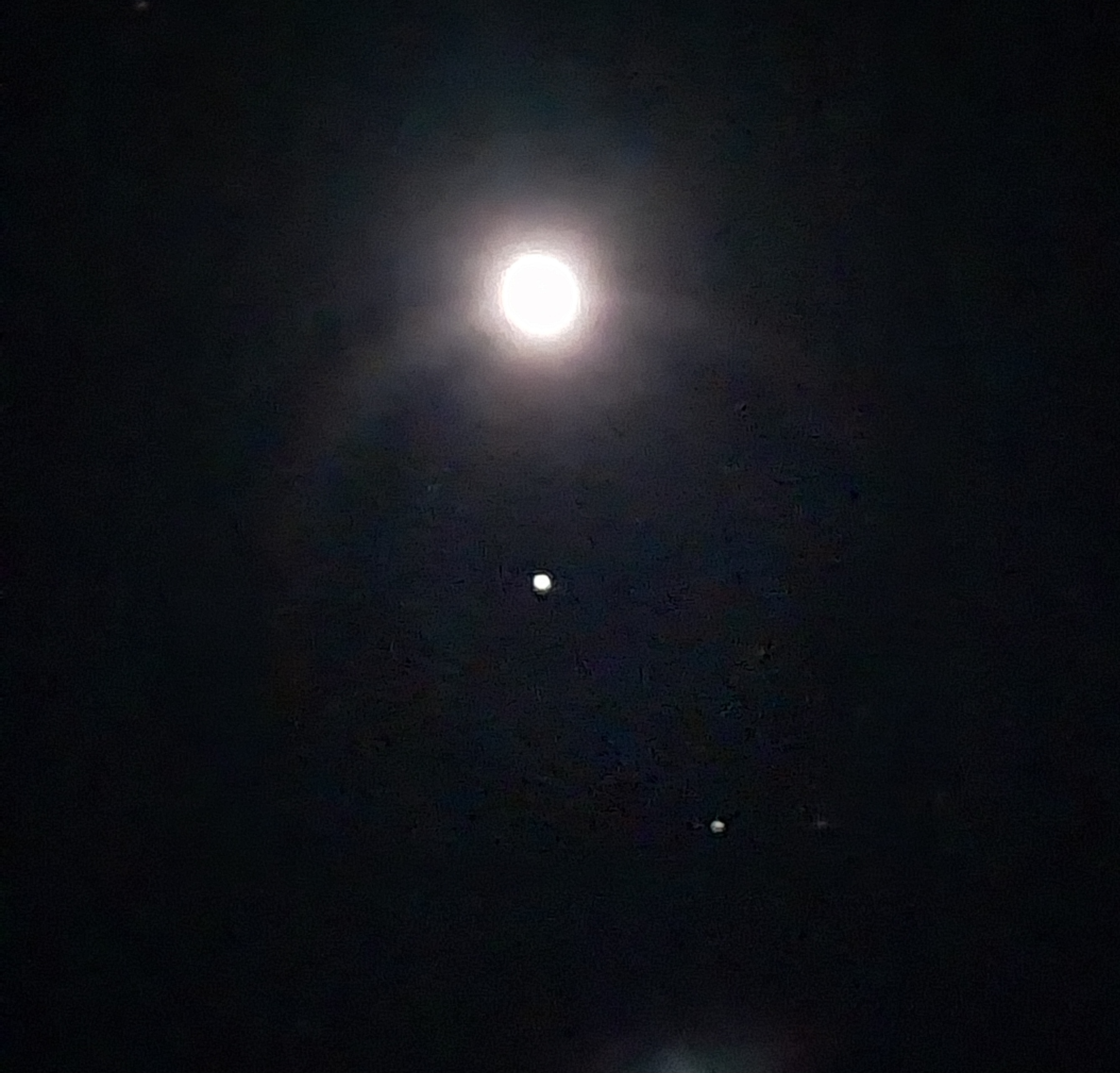 20250110_212326.jpg