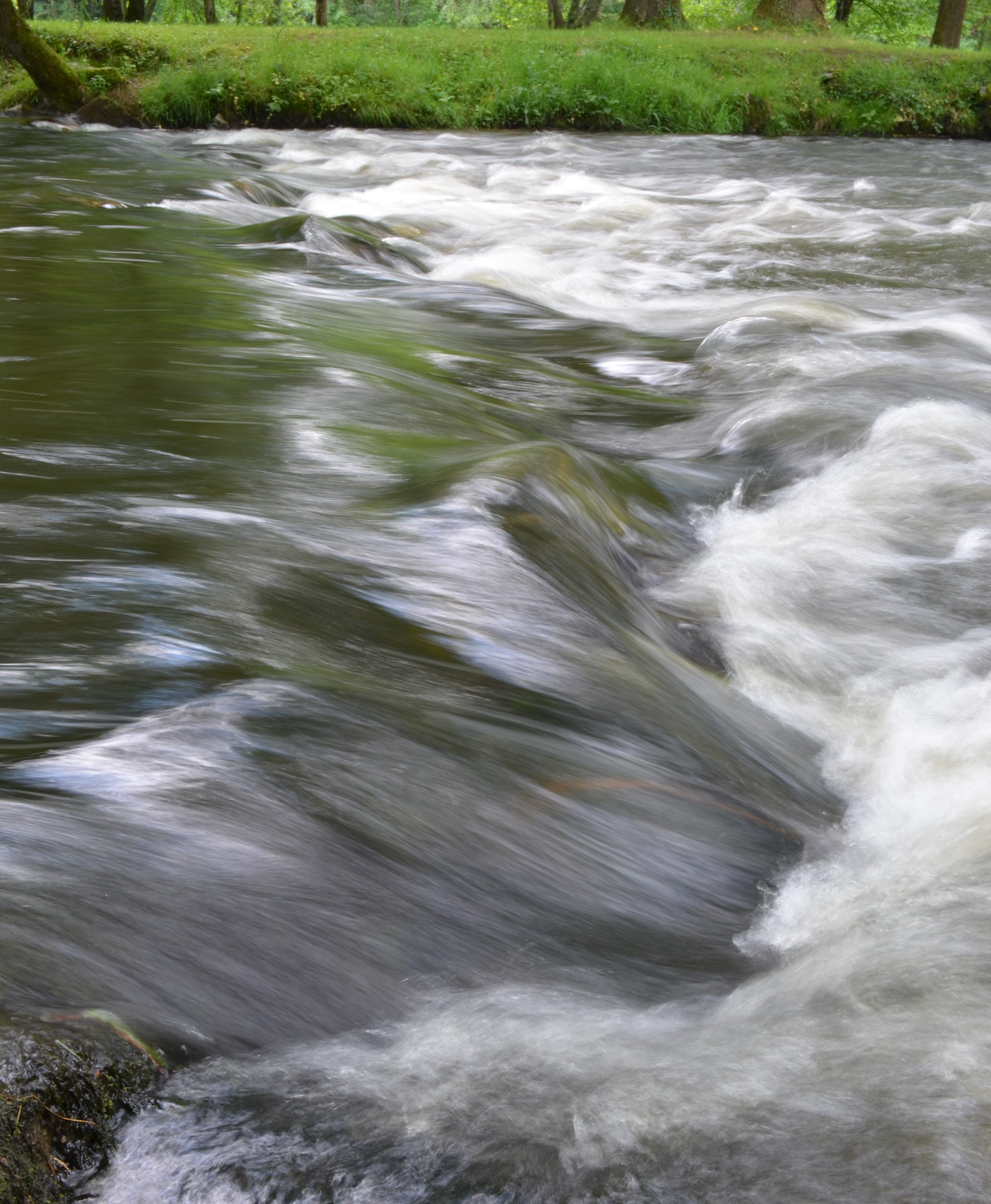DSC_1220.JPG