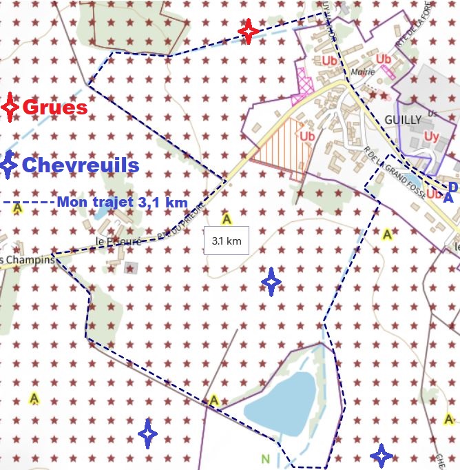 Tournée photo du 16 02 2025 3.100 km.JPG