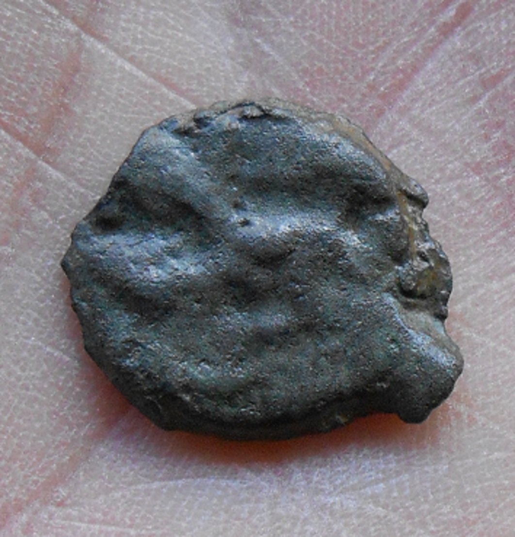 DSCN5440.JPG