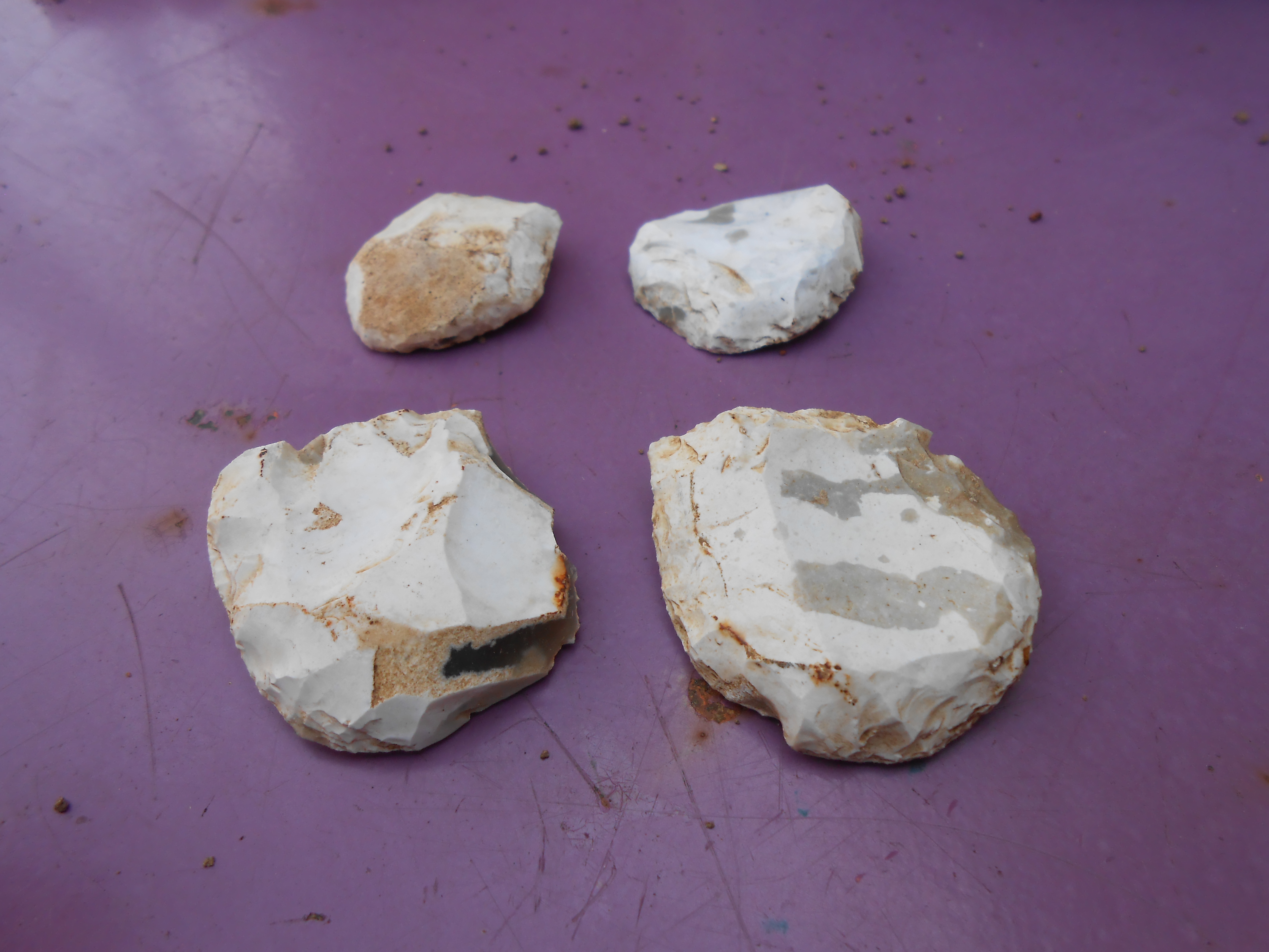DSCN5402.JPG