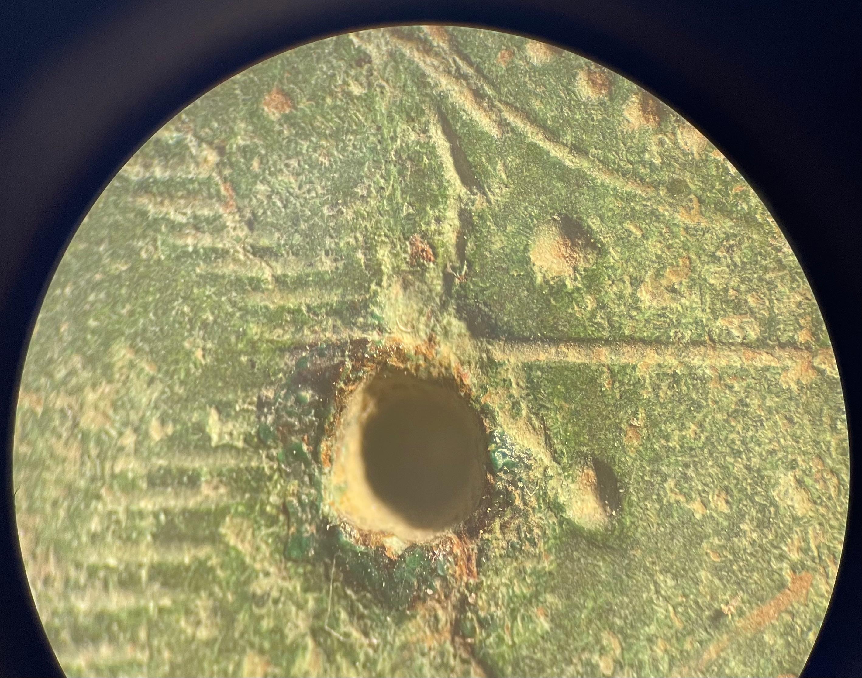 WhatsApp Image 2025-11-01 à 11.04.56_577eb728.jpg