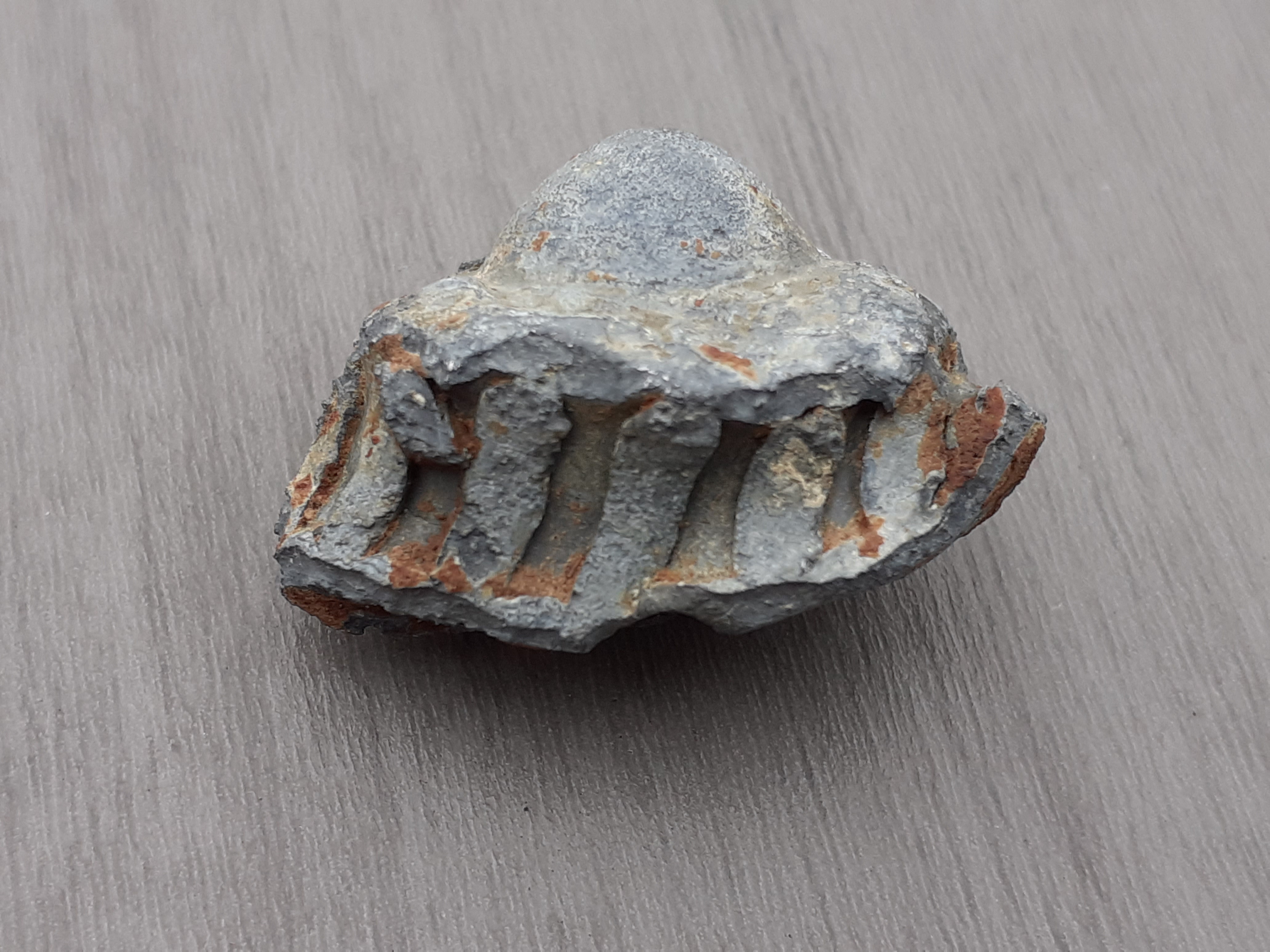 20191227_144331.jpg