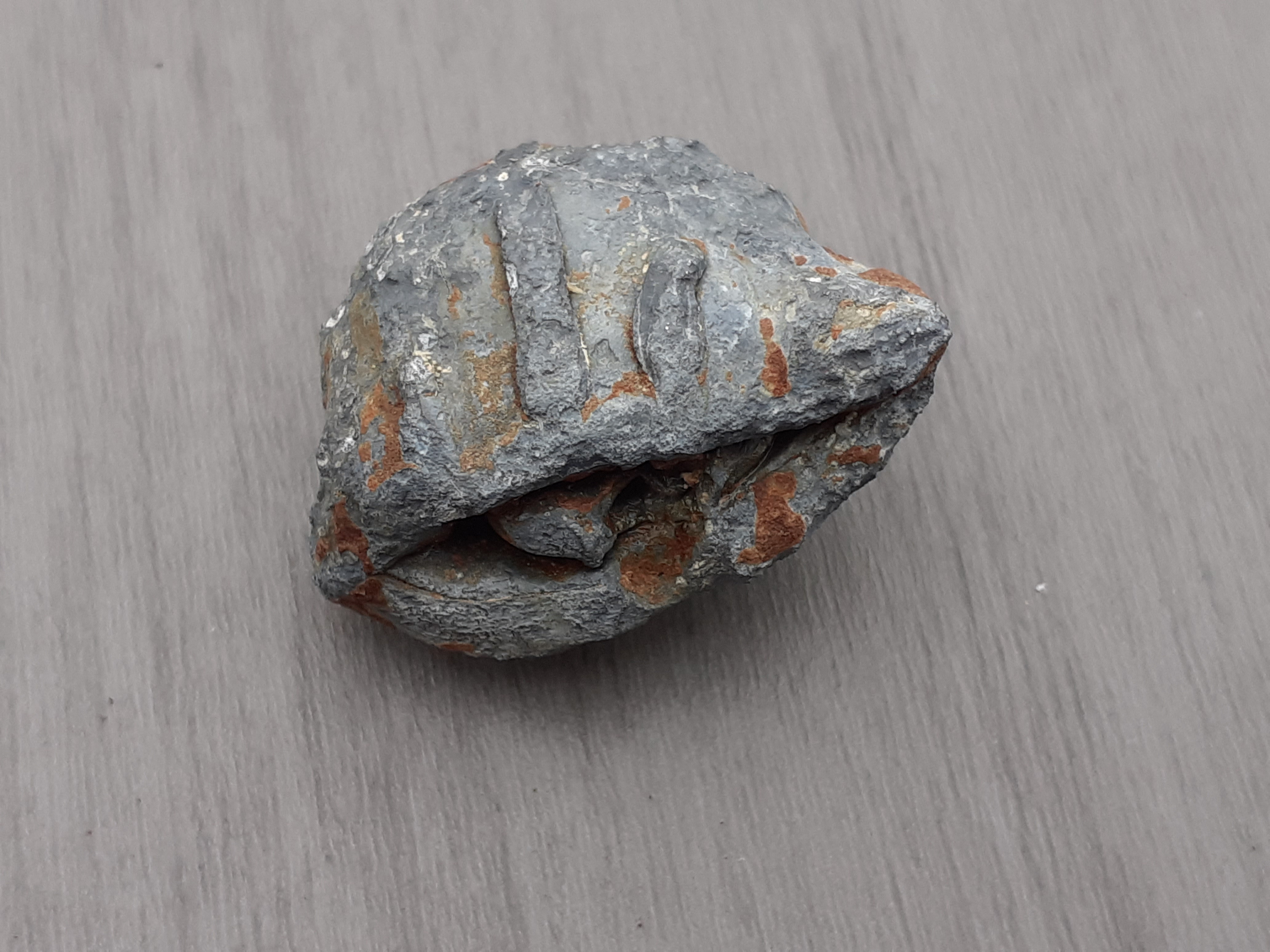 20191227_144312.jpg