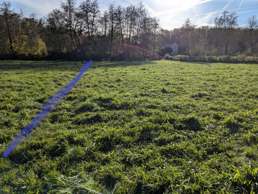 PXL_20251118_140353377 (1).jpg