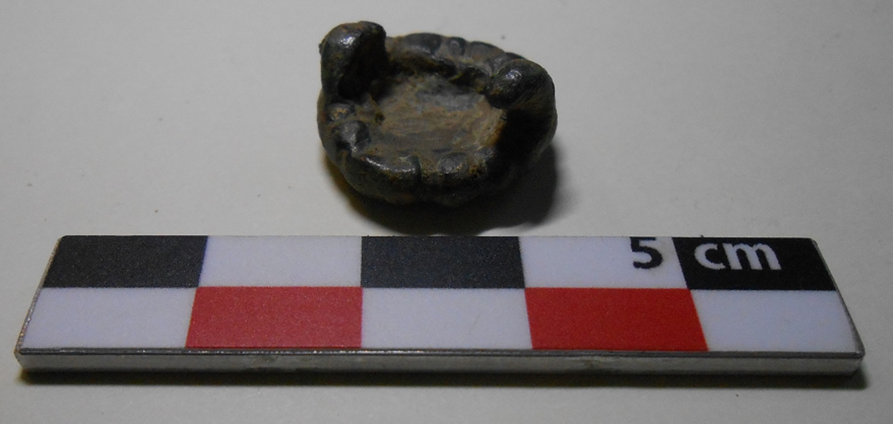 DSCN5590.JPG