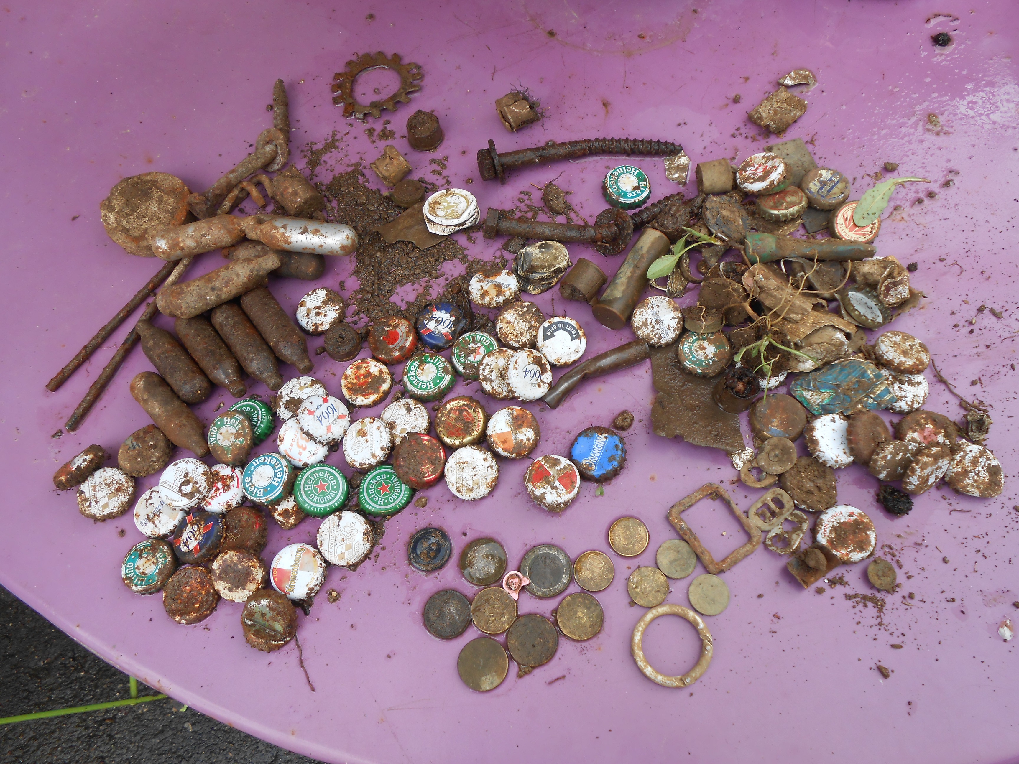 DSCN5720.JPG