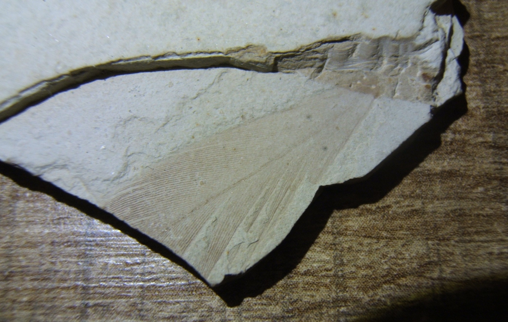 DSCF3199.JPG