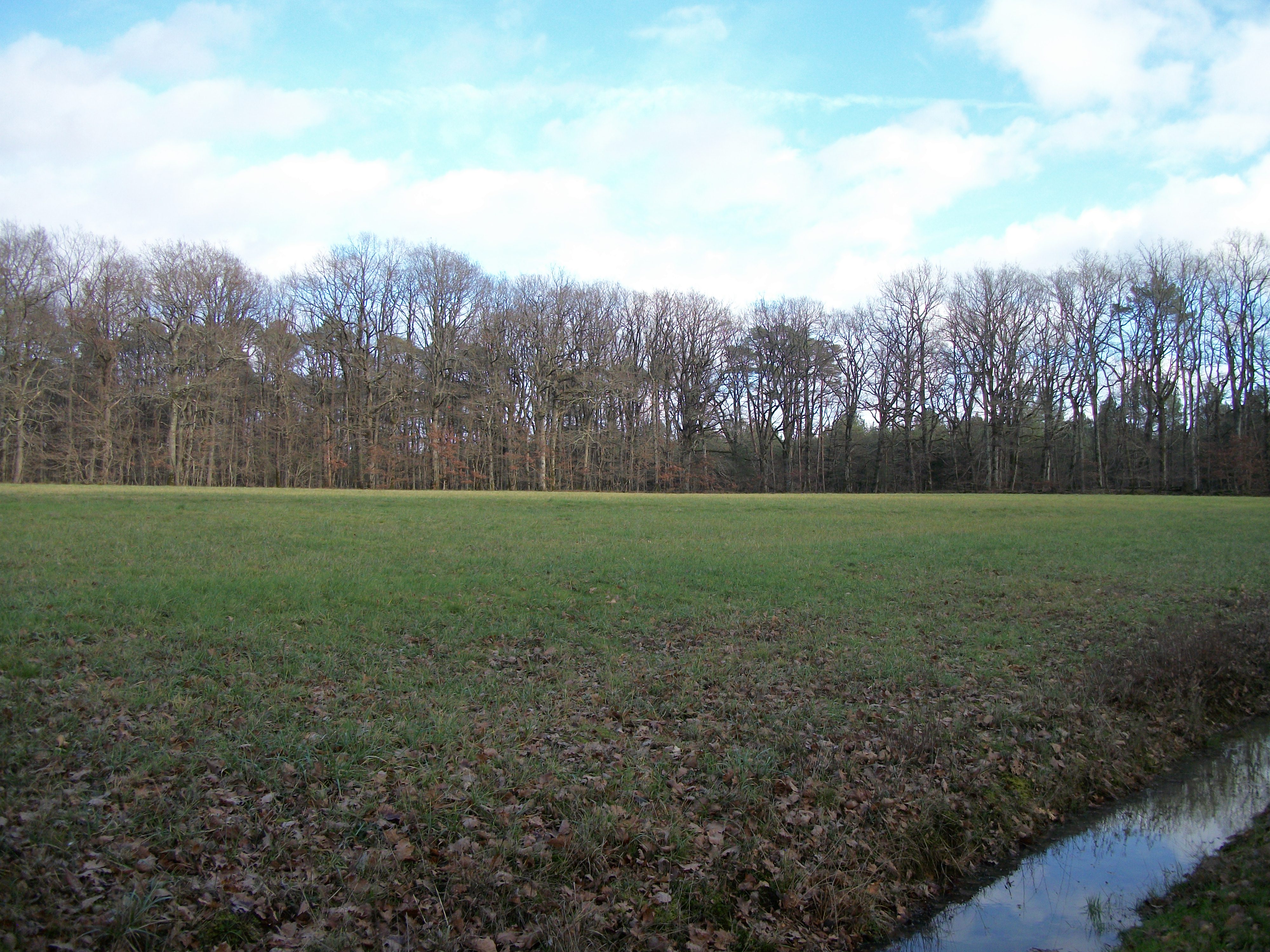 Prairies qui bien souvent sont en bordure de foret