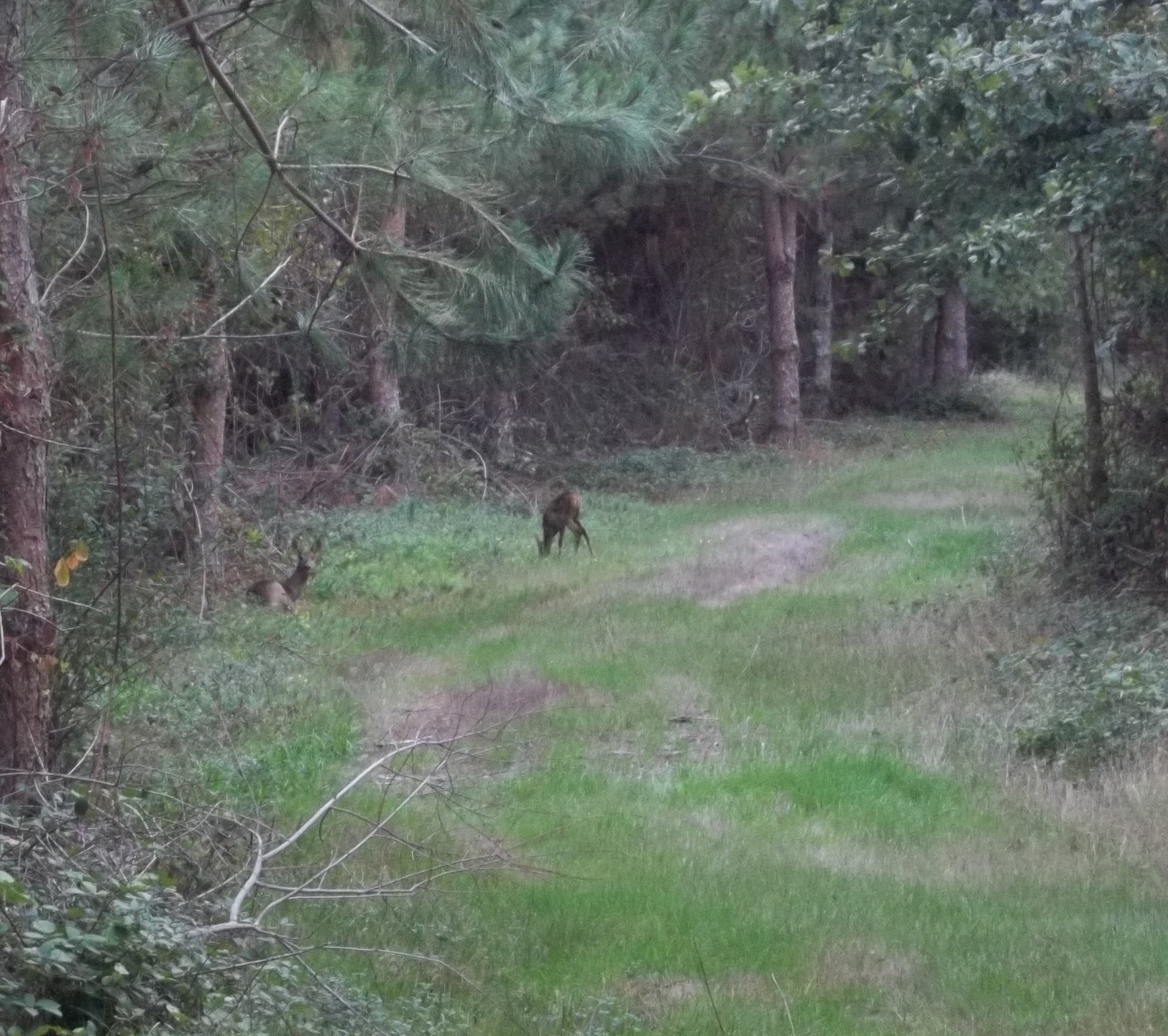 Et aussi des petits doudou !