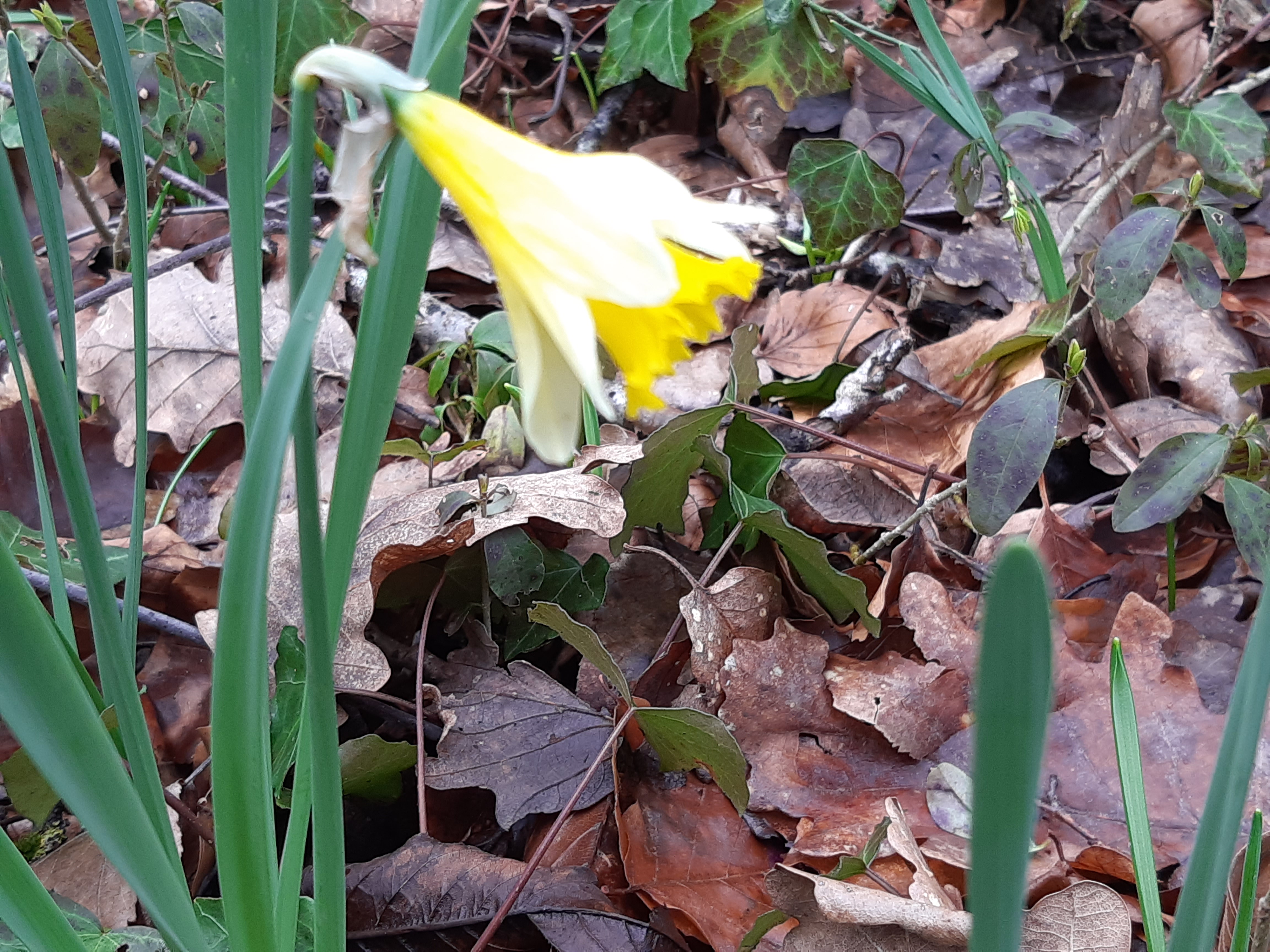 20200301_111654.jpg