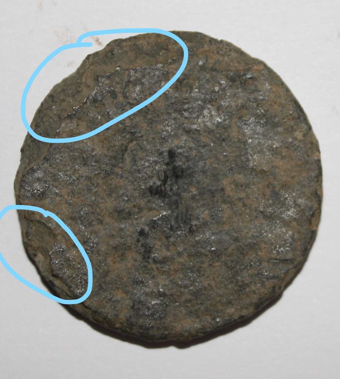 InkedFAUSSE NAPO._LI.jpg