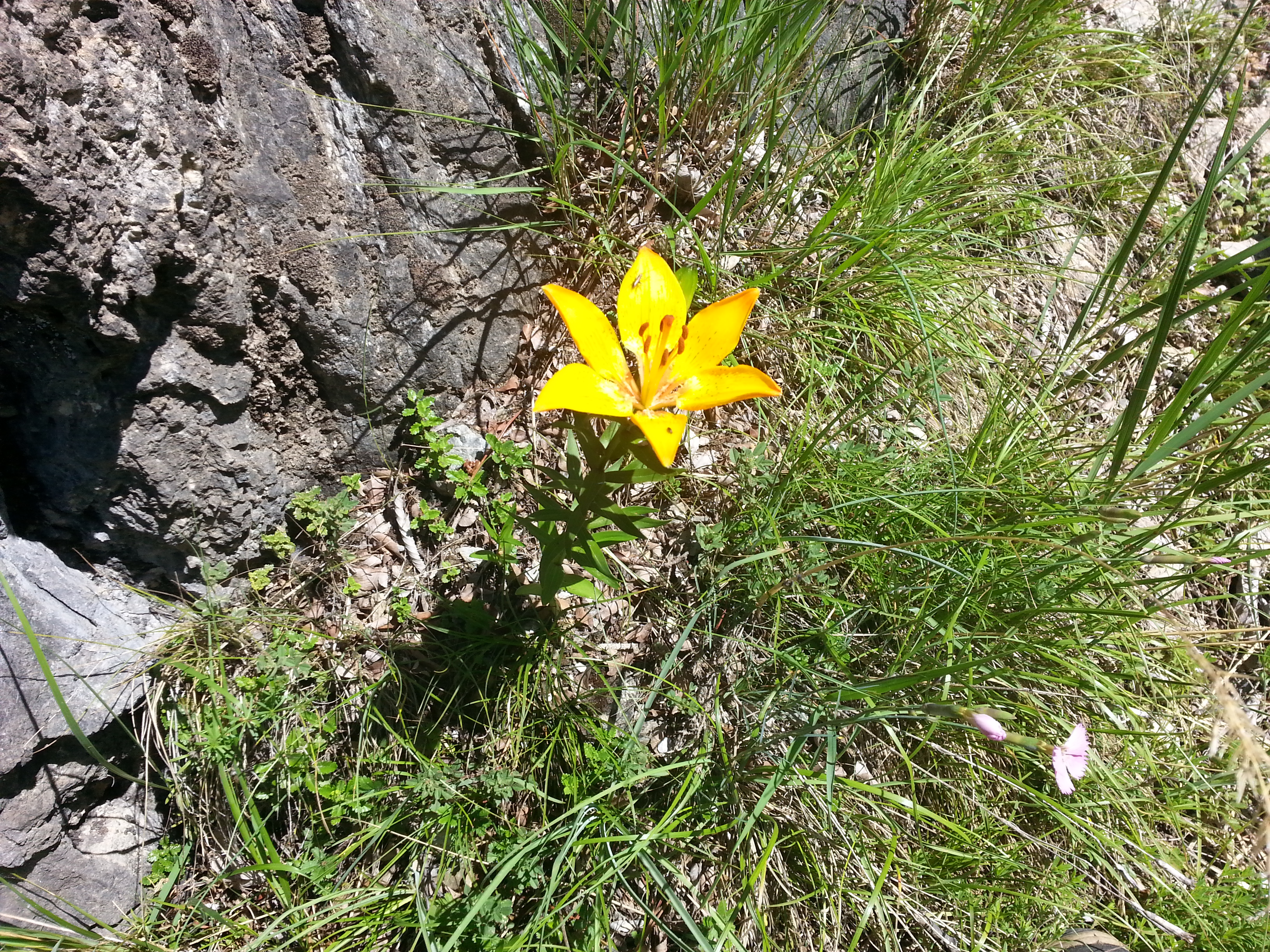 20150611_115429 (2).jpg