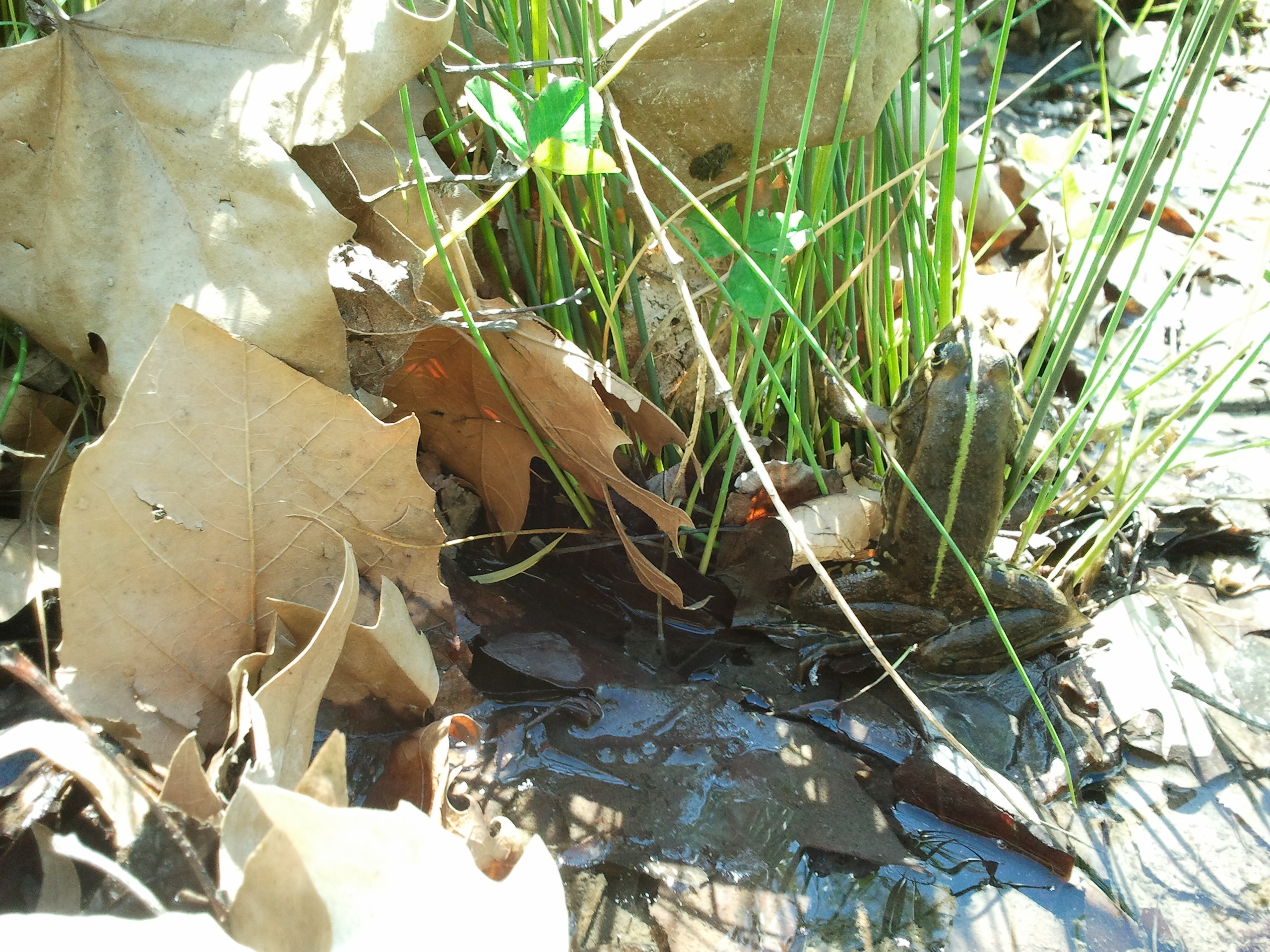 2011-04-30 14.07.17.jpg