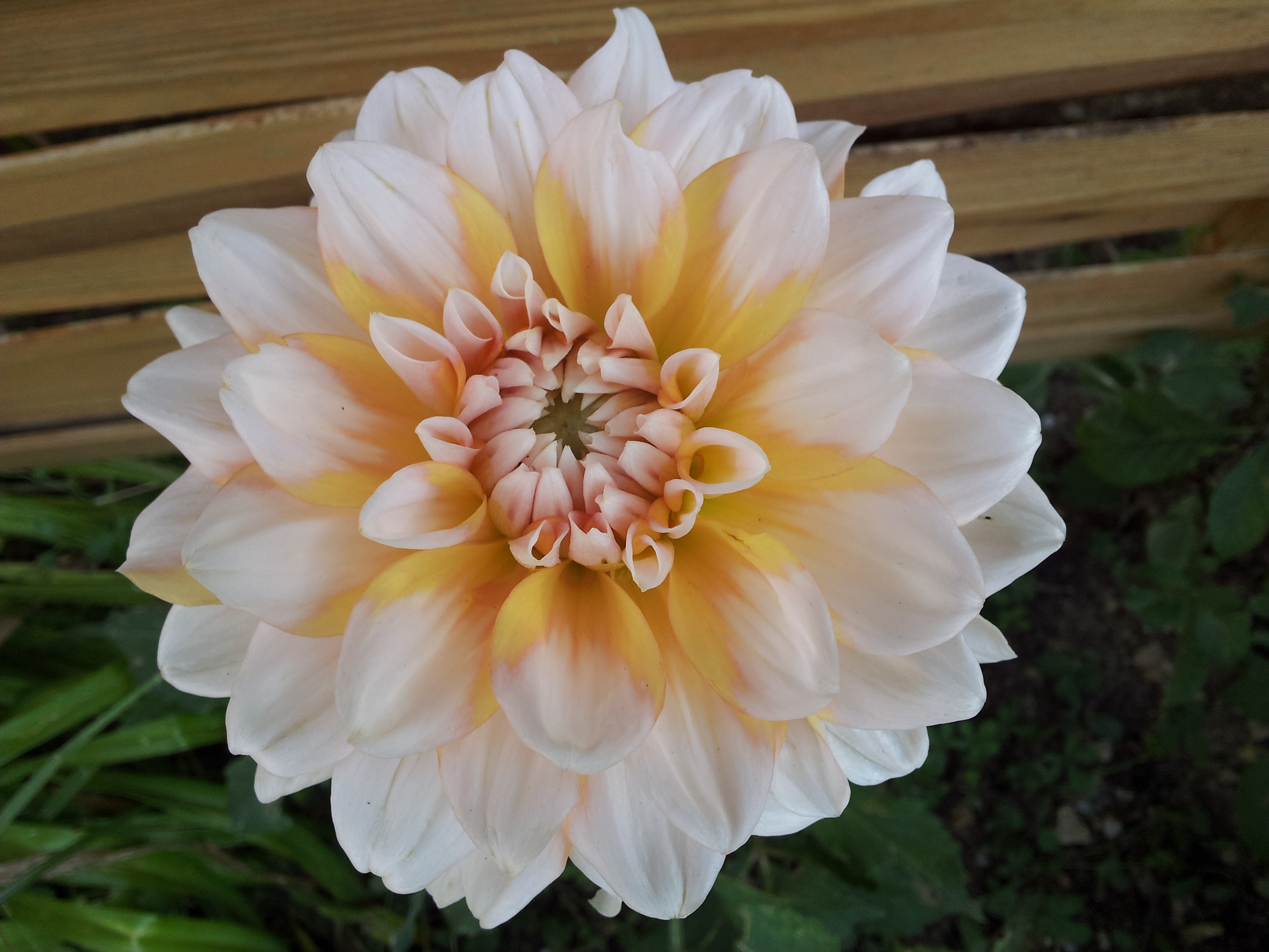 20130723_191327.jpg