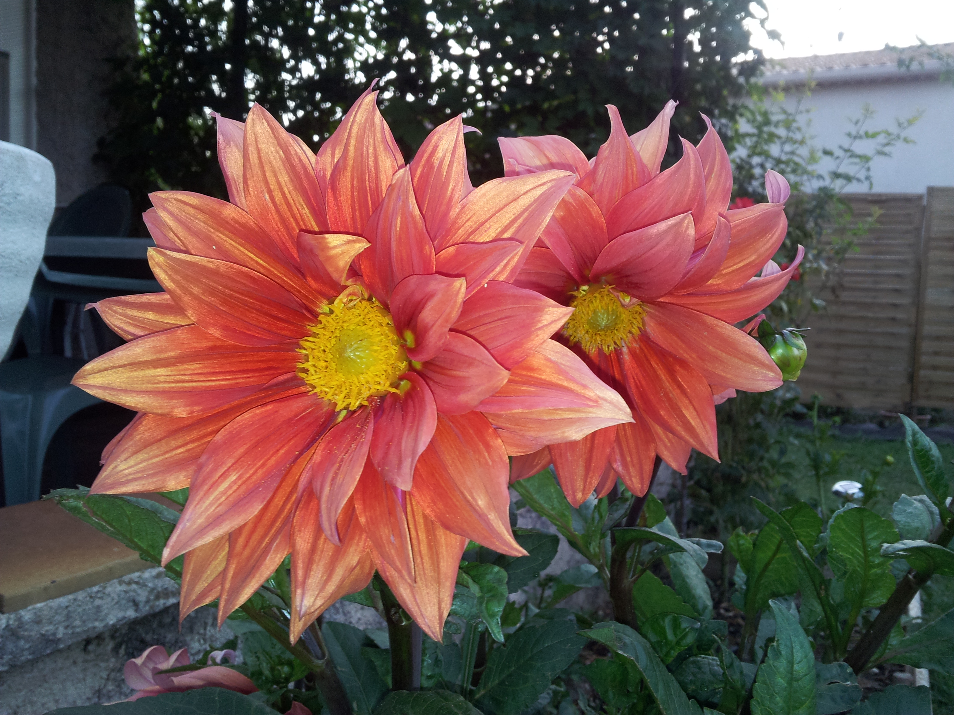 20130818_071927.jpg