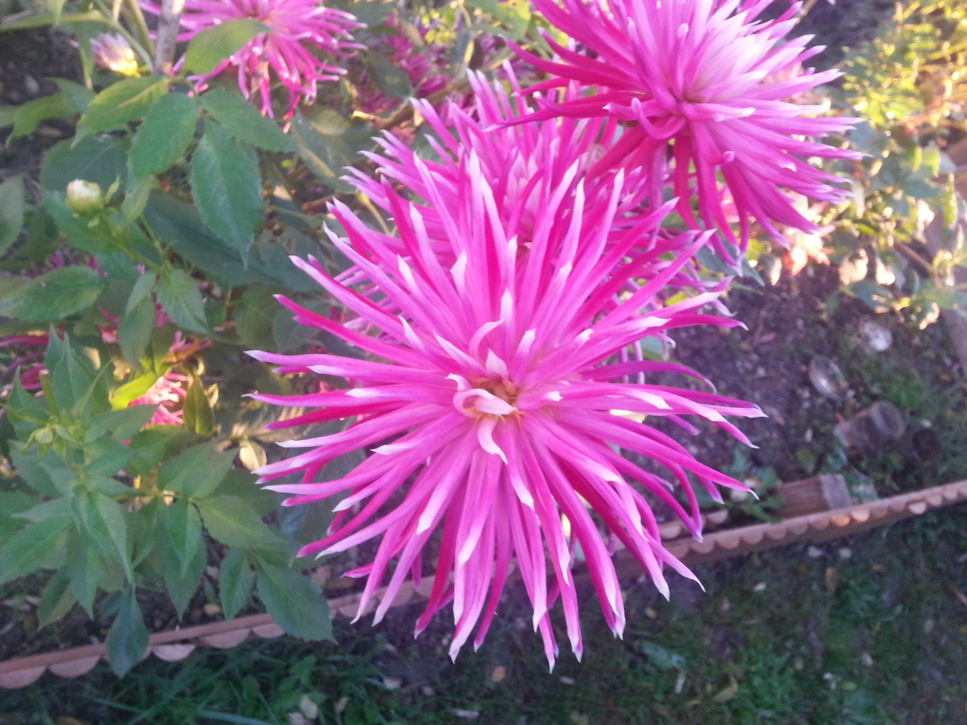 20151109_074303.jpg