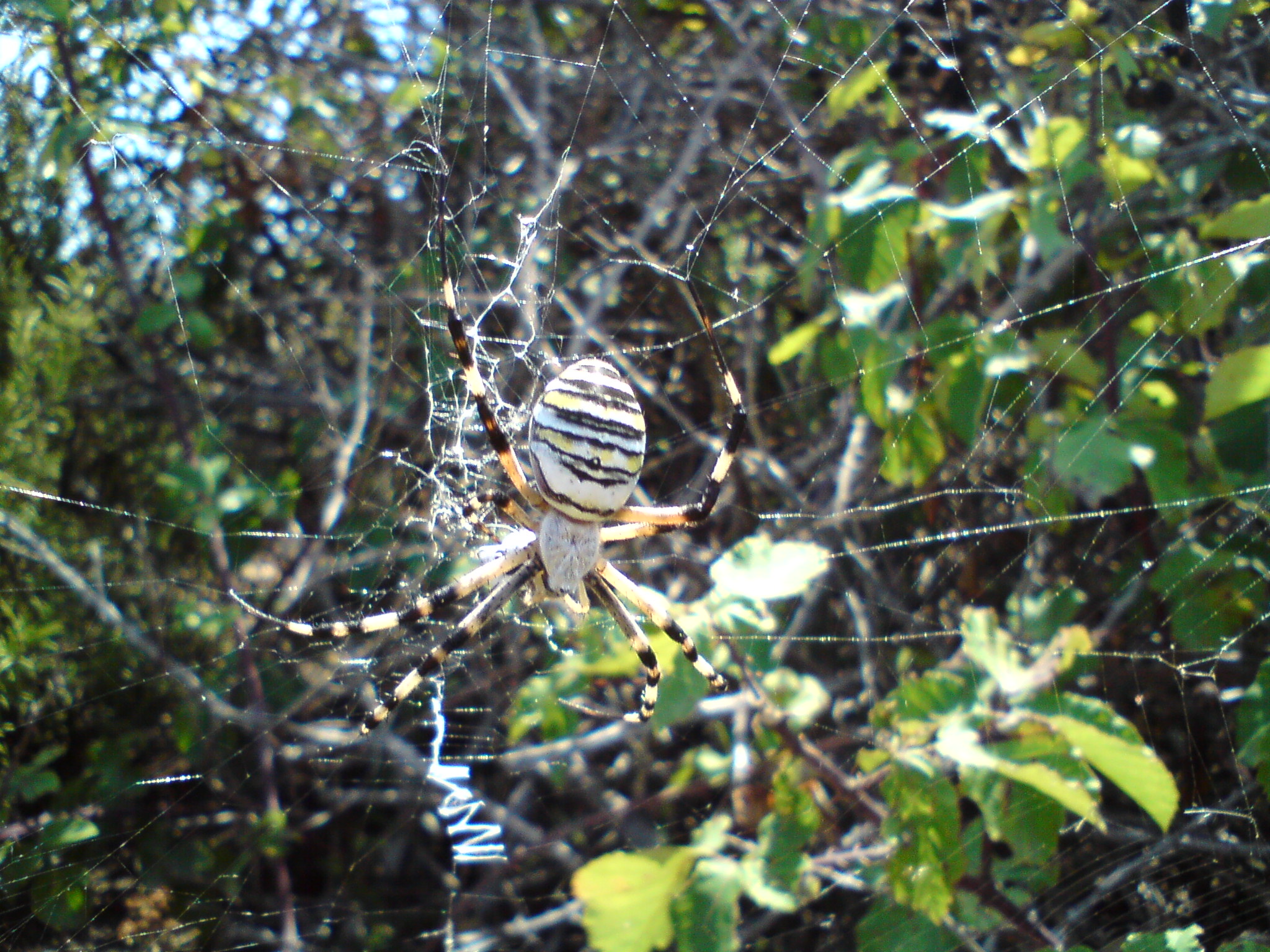DSC00003.JPG