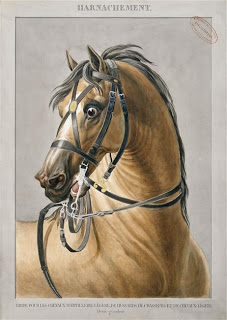 bardinchev6.jpg